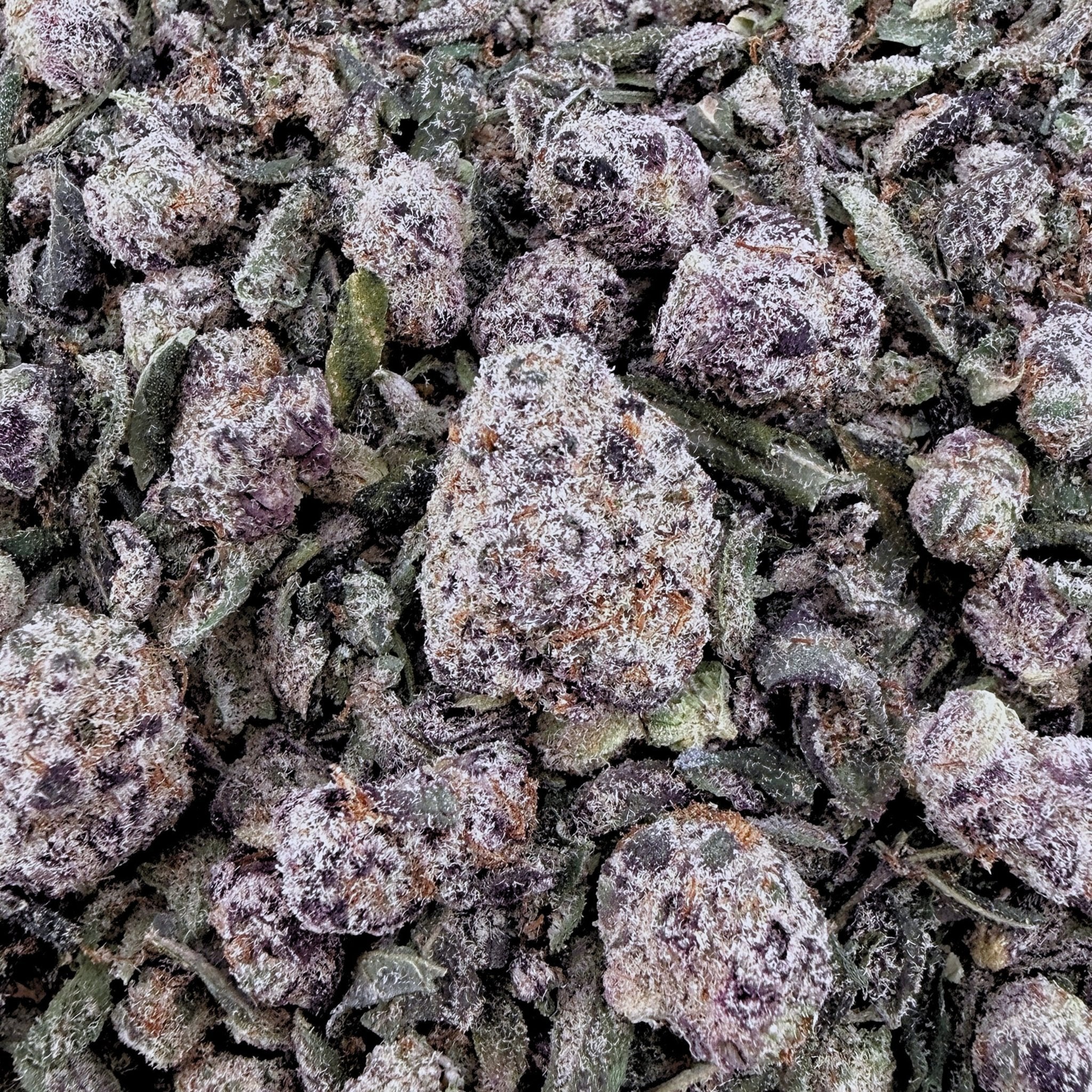 No 6. Purple Cake THCa Shake (Wholesale) - Valley Hemp