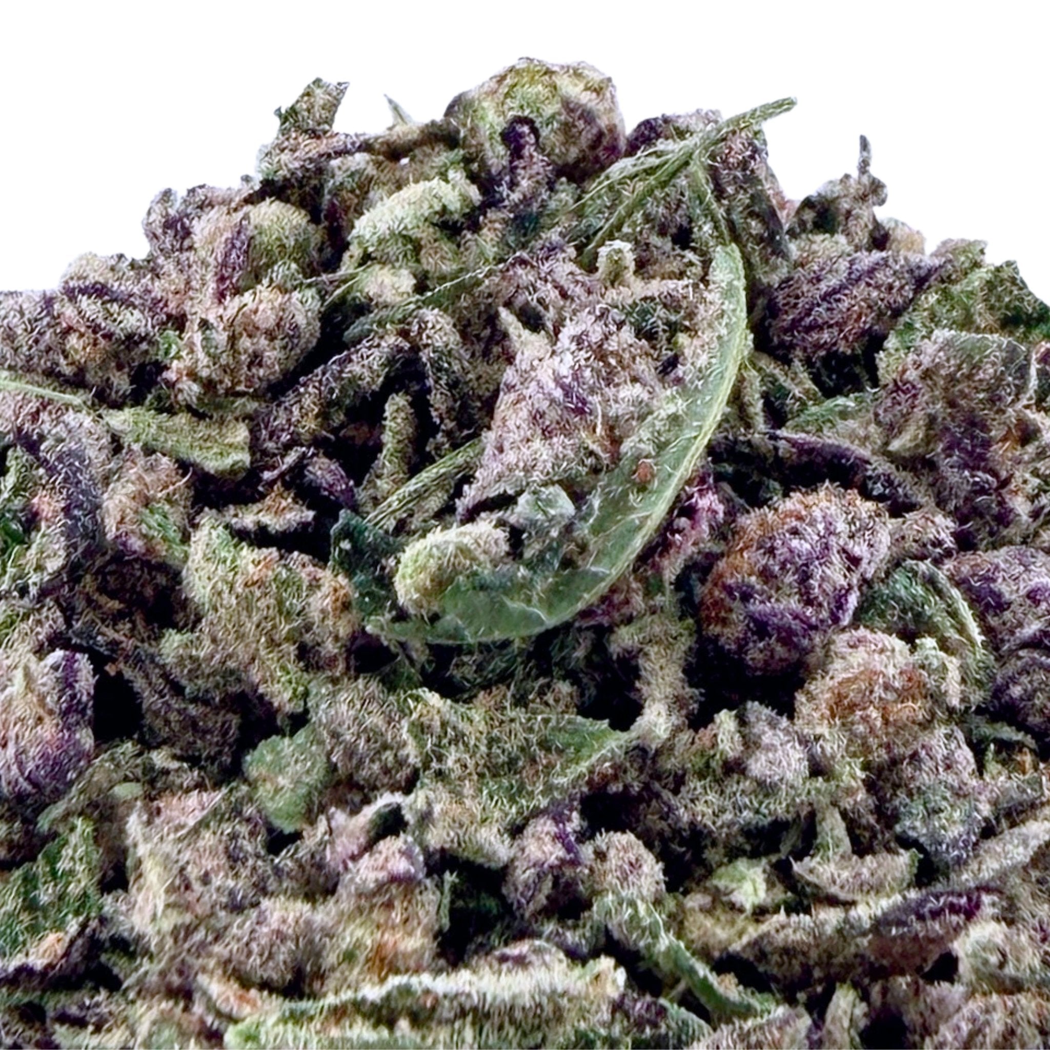 No 7. Glitter Bomb THCa Shake (Wholesale) - Valley Hemp