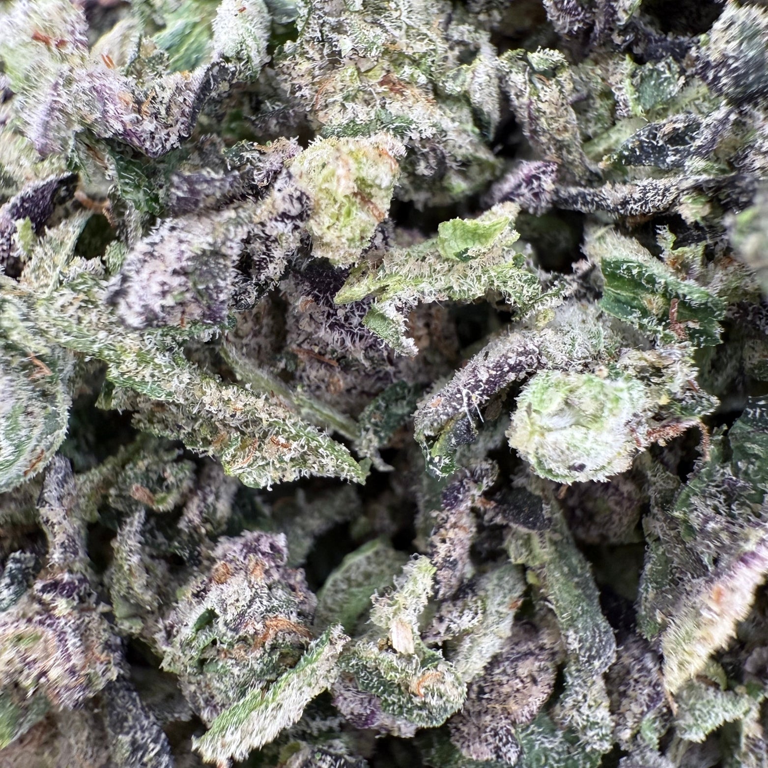 NO.1 LA Pop Rock THCa Indoor Trim Wholesale - VALLEY HEMP