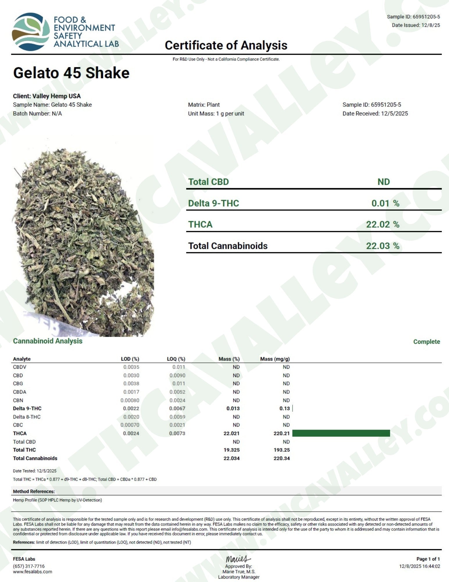No3. Gelato 45 THCa Shake - Valley Hemp