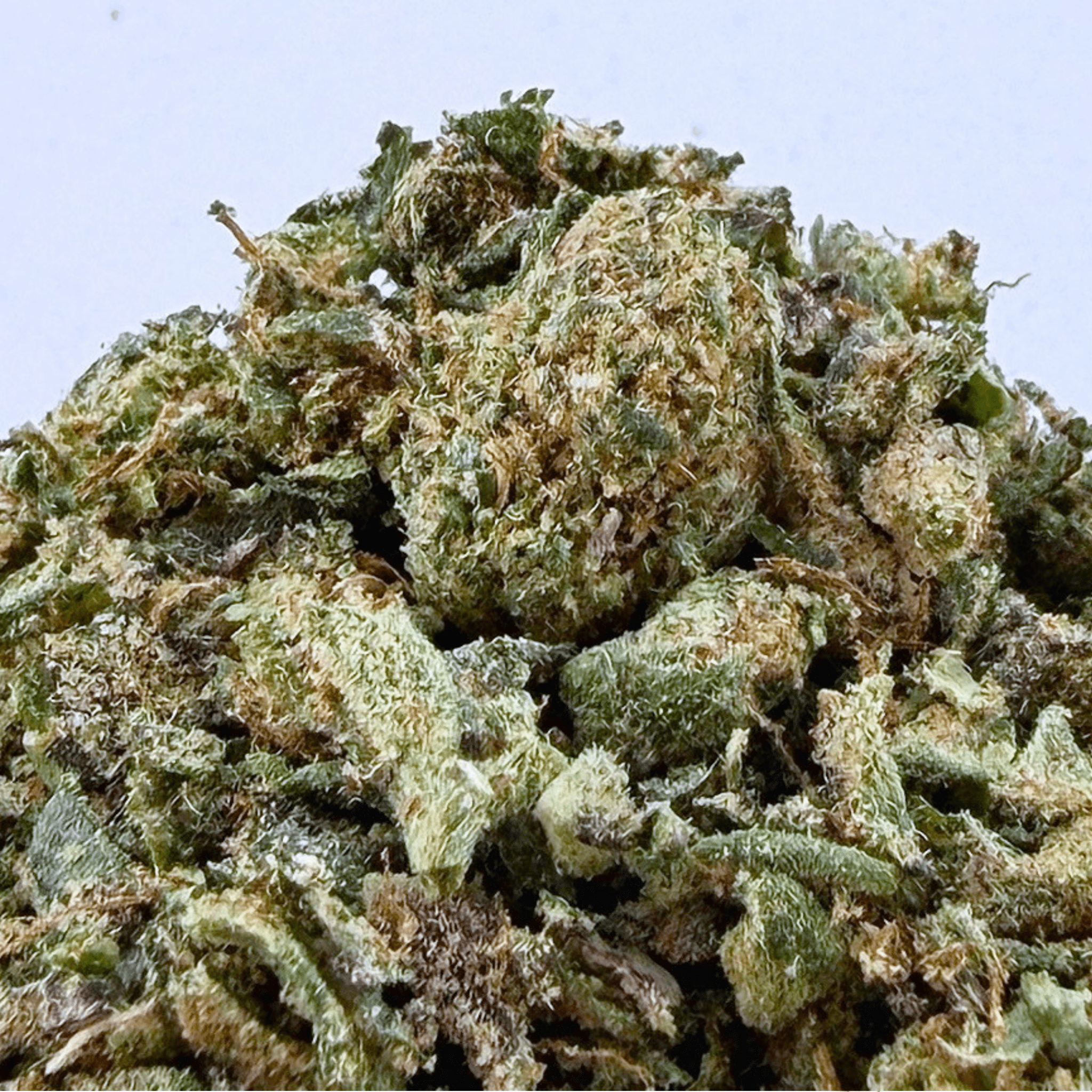 No3 New. Blow Your Mind THCa Shake (Wholesale) - Valley Hemp