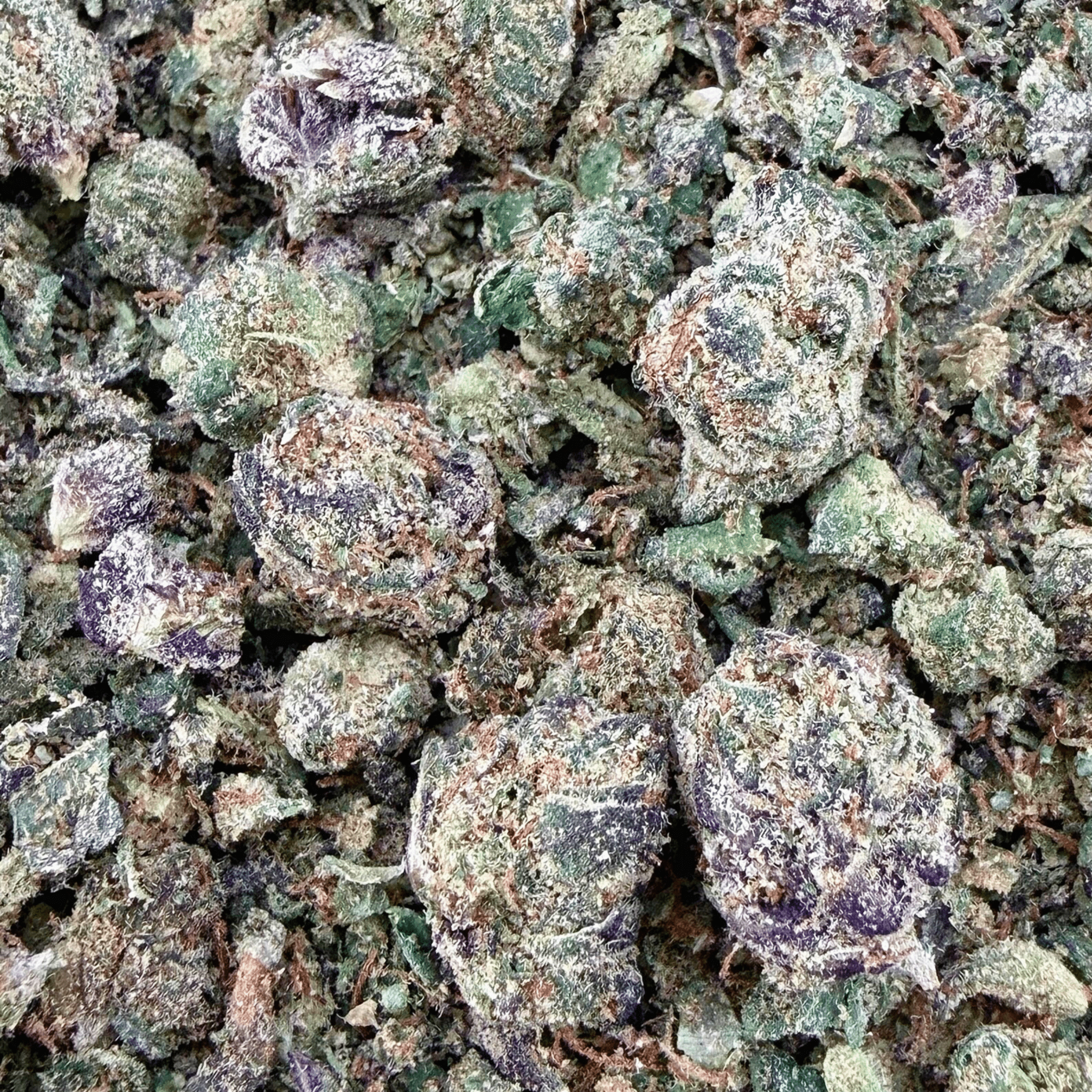 No3 New. Blow Your Mind THCa Shake (Wholesale) - Valley Hemp