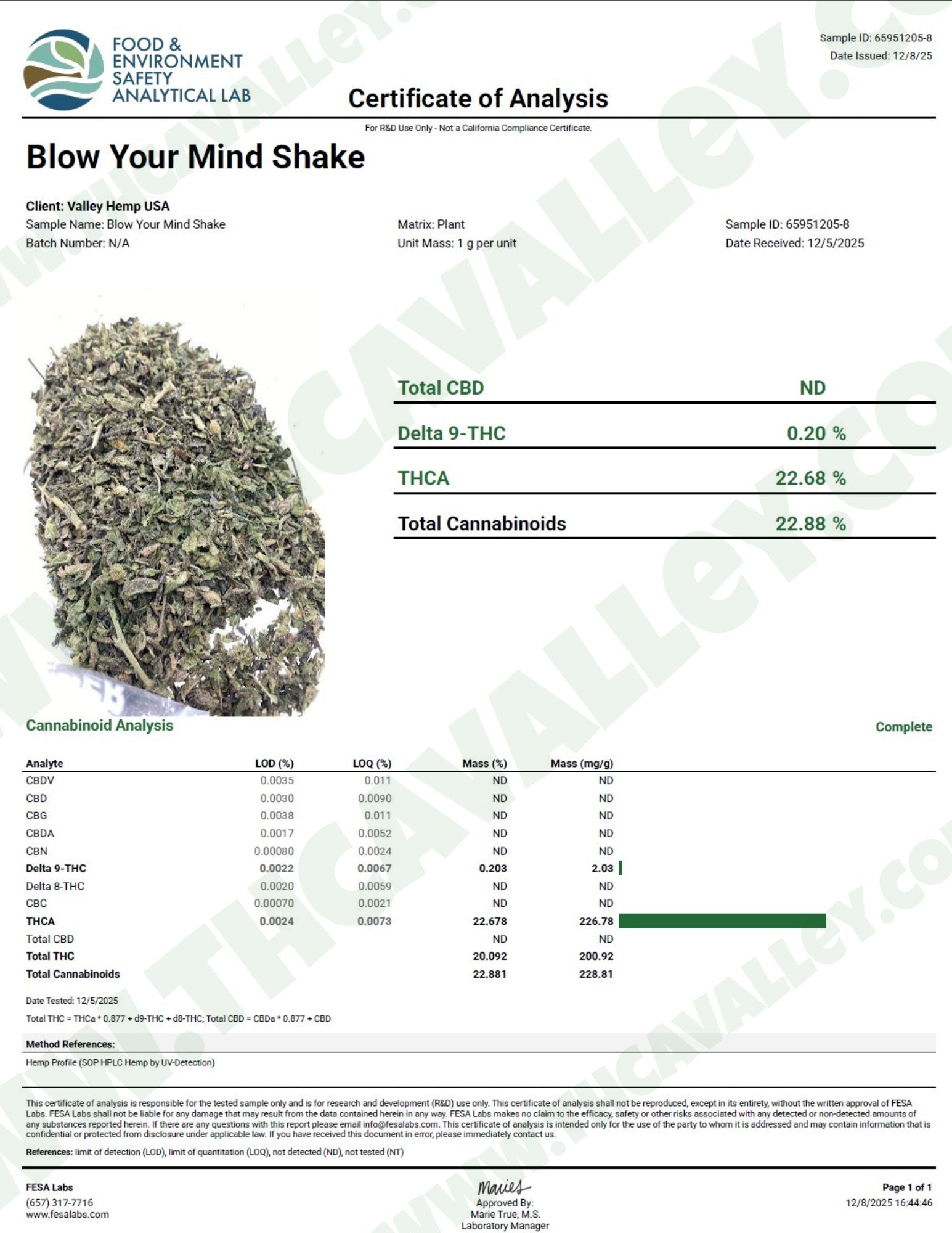 No3 New. Blow Your Mind THCa Shake (Wholesale) - Valley Hemp