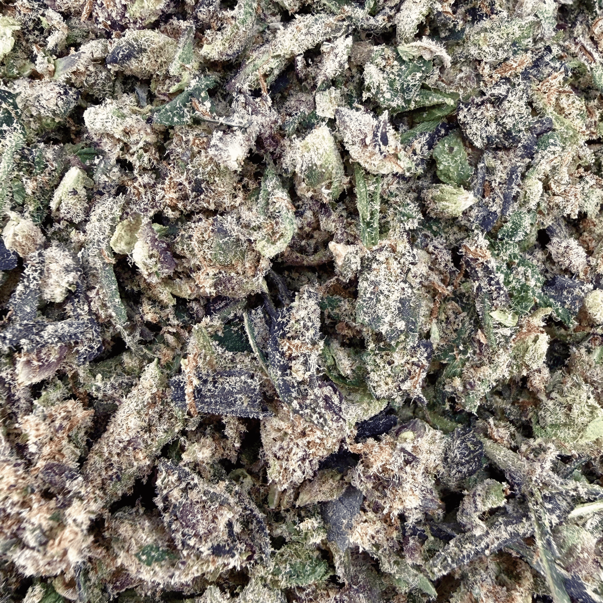 No5. Sherbet THCa Shake (Wholesale) - Valley Hemp
