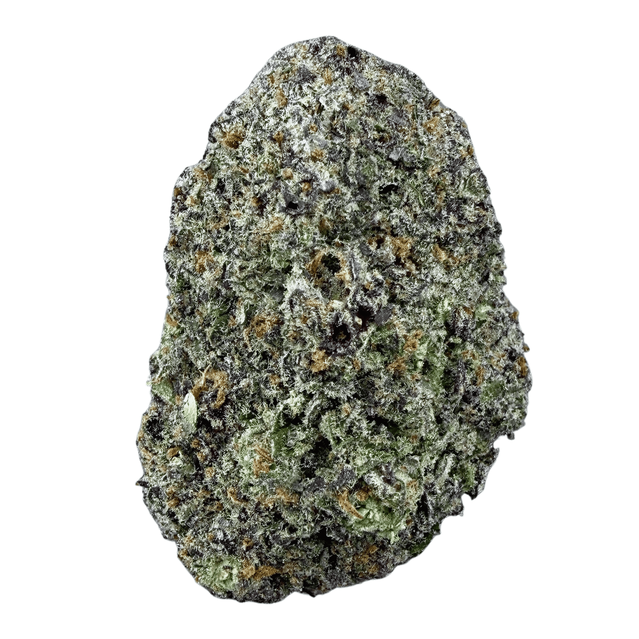 Northern Lights (Wholesale) - Valley Hemp
