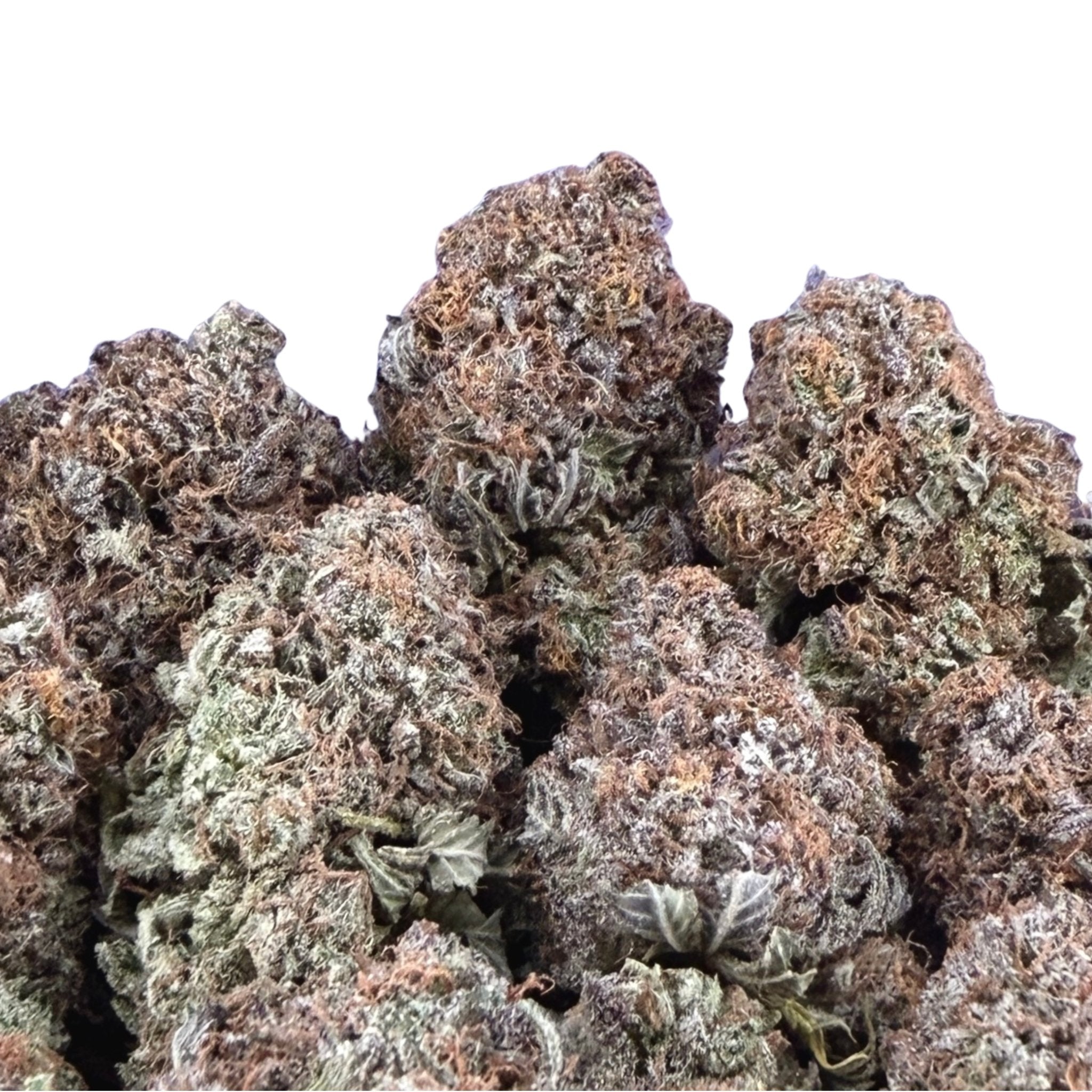 OG Kush - Valley Hemp