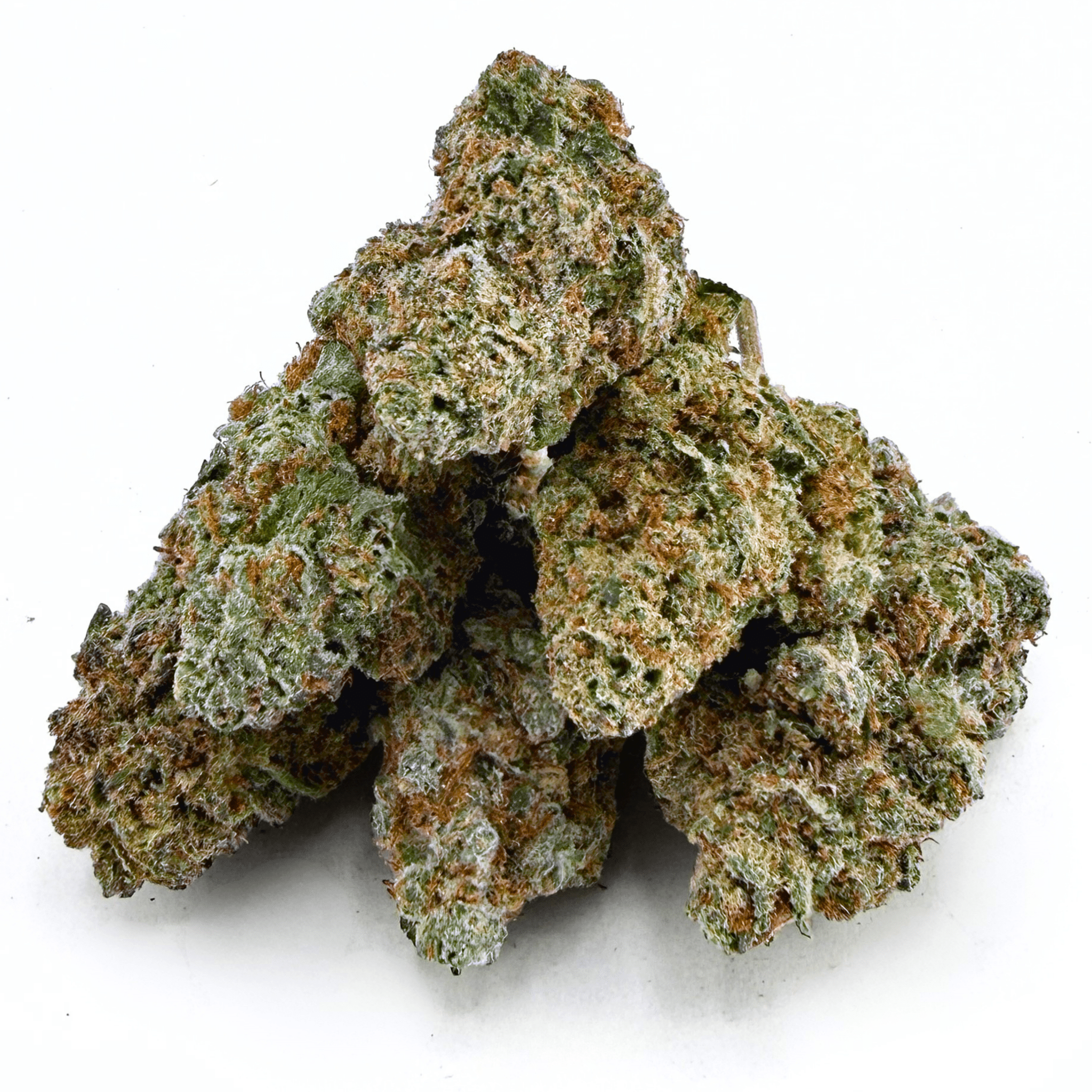 Oreo (Wholesale) - Valley Hemp