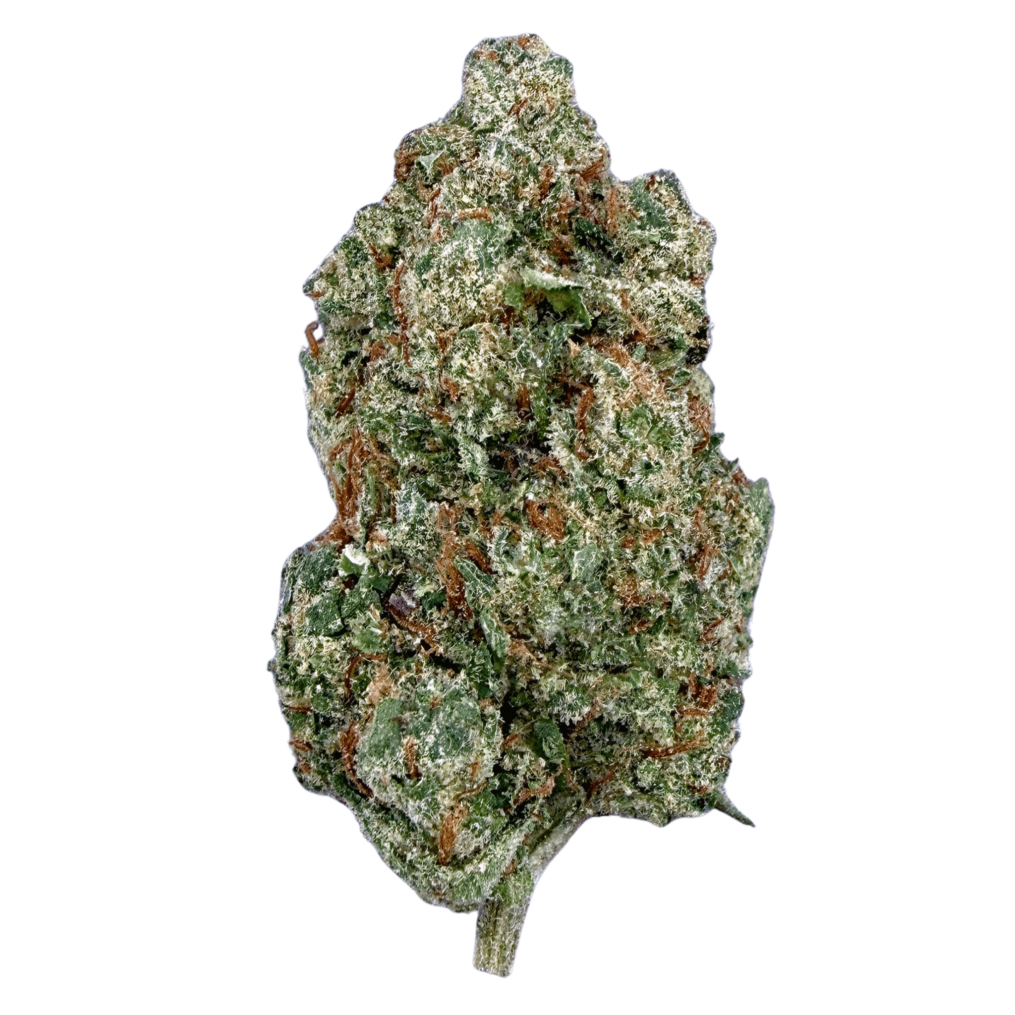 Oreo (Wholesale) - Valley Hemp