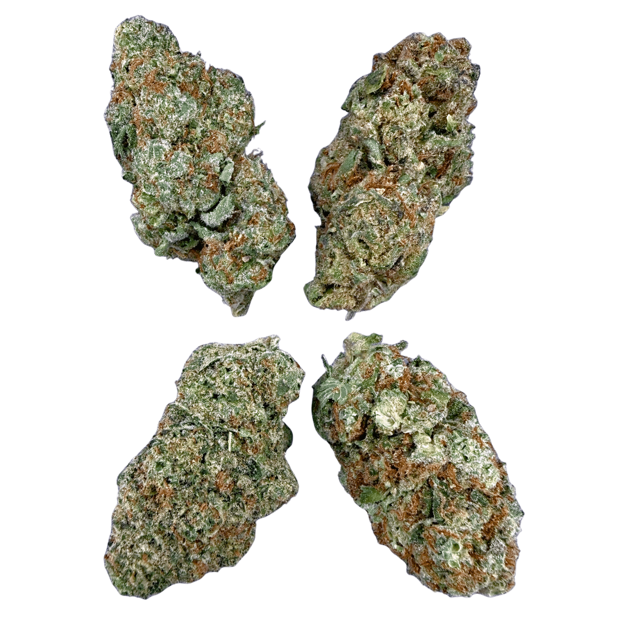 Oreo (Wholesale) - Valley Hemp