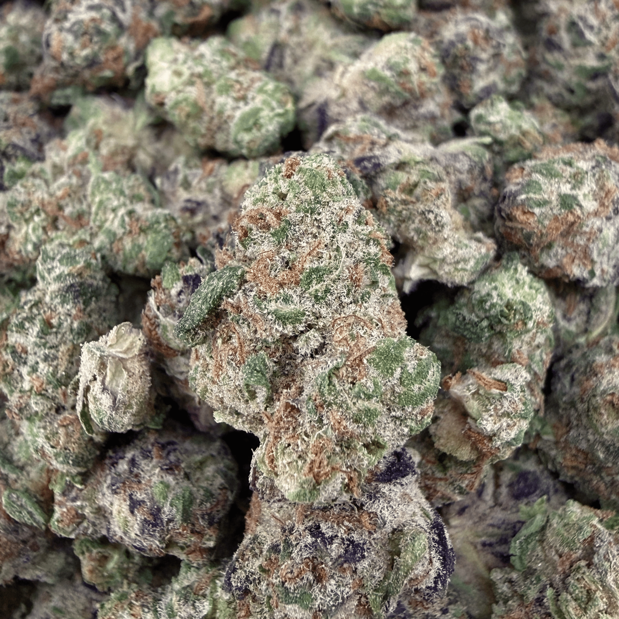 Peanut Butter Breath THCa Smalls (Wholesale) - Valley Hemp