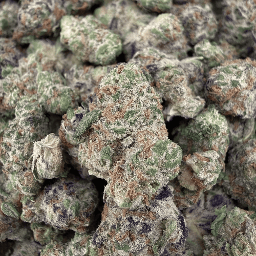 Peanut Butter Breath THCa Smalls (Wholesale) - Valley Hemp