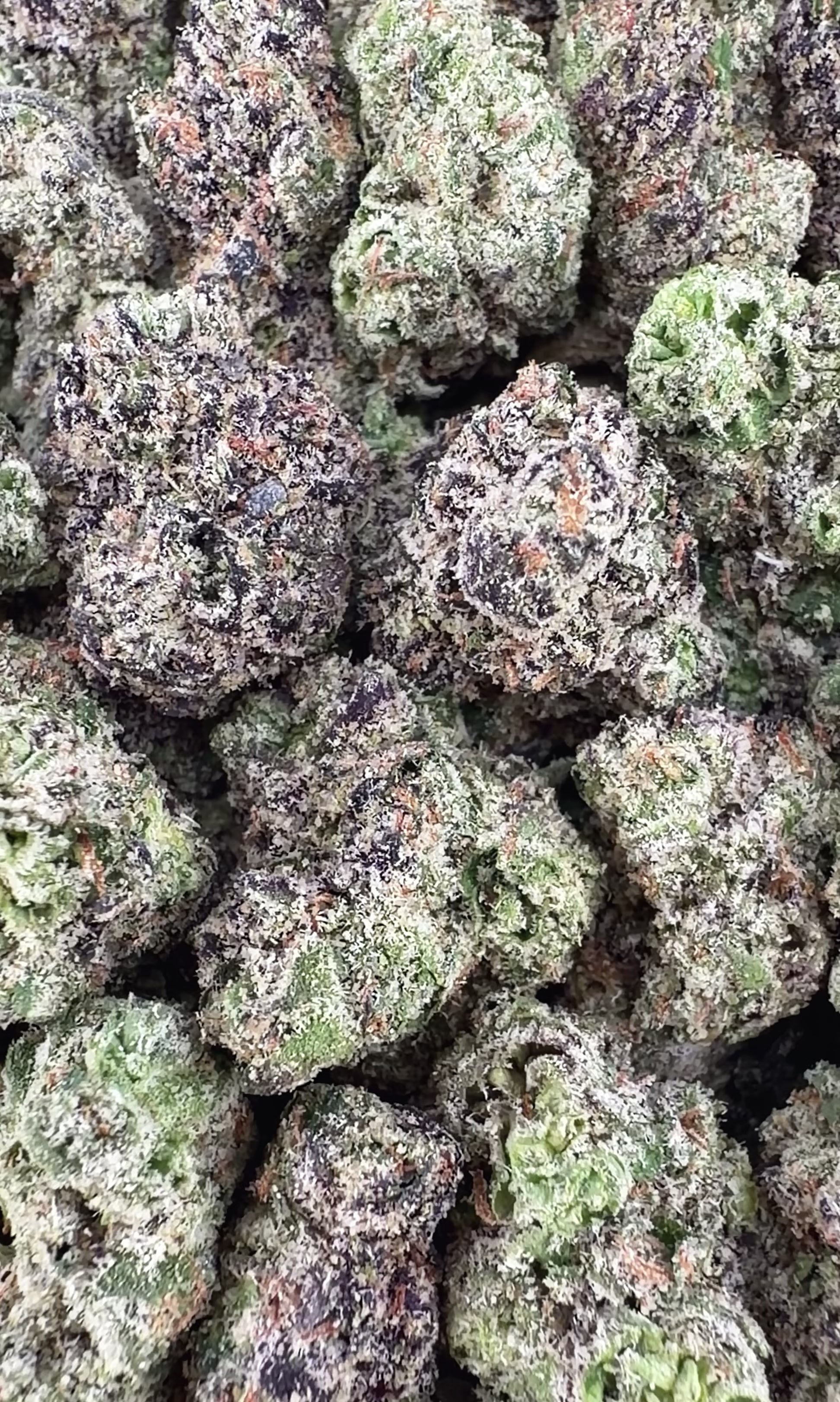 Candy Drop THCa Smalls