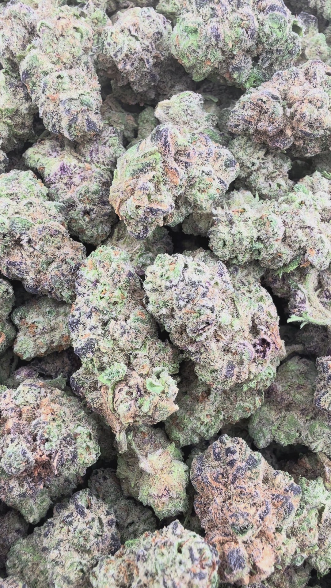 OG Kush THCa Smalls