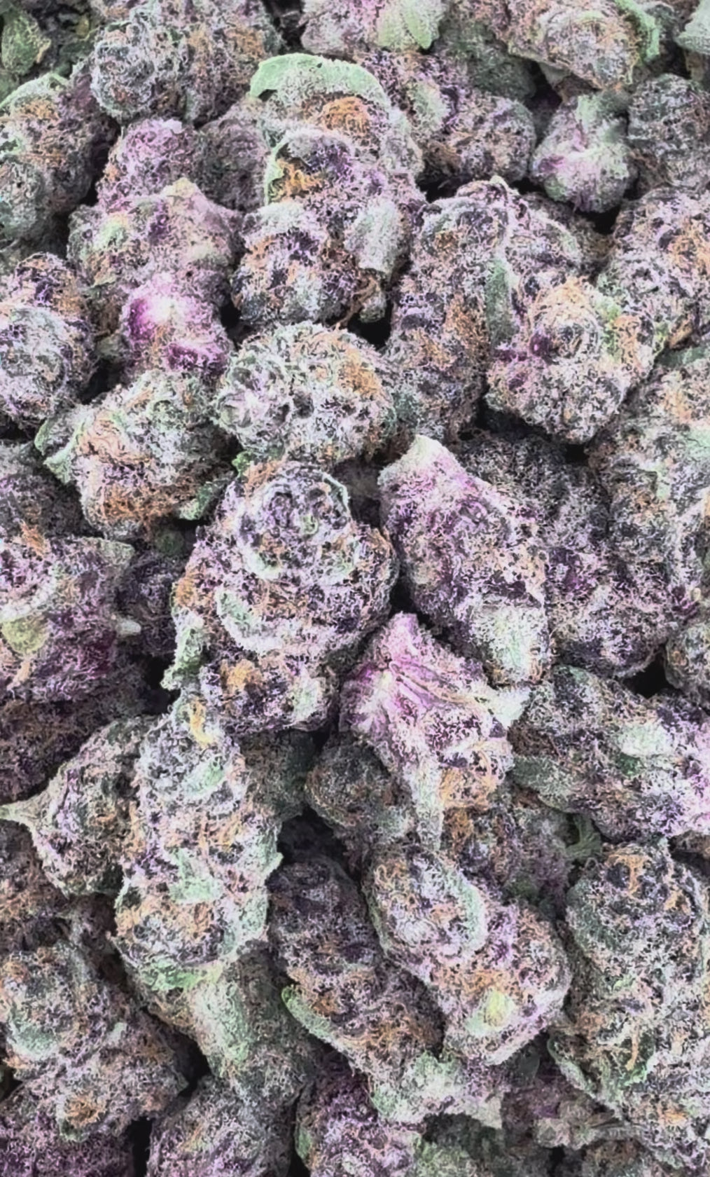 Super Boof THCa Exotic Smalls