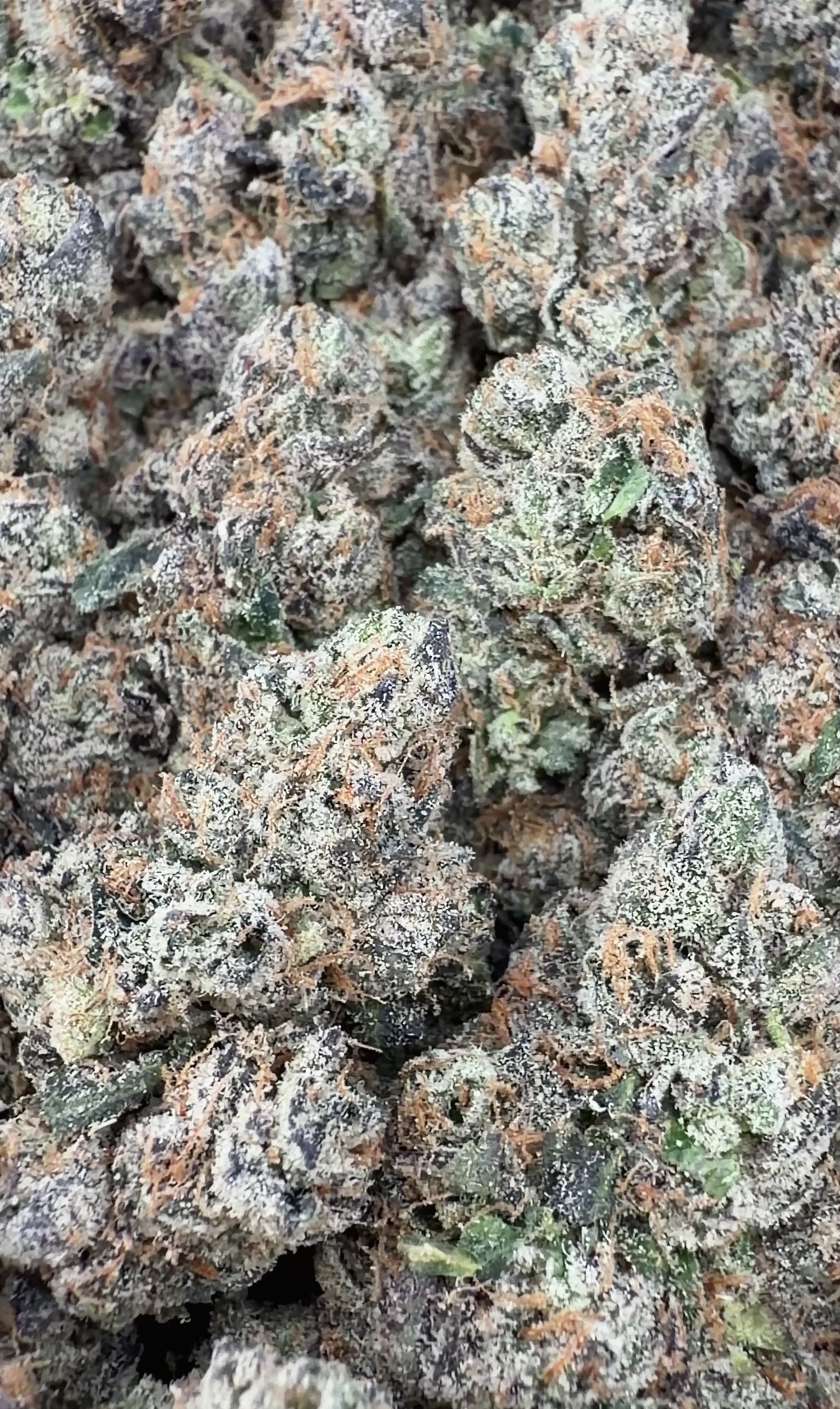 Zerowon Runtz (Wholesale)
