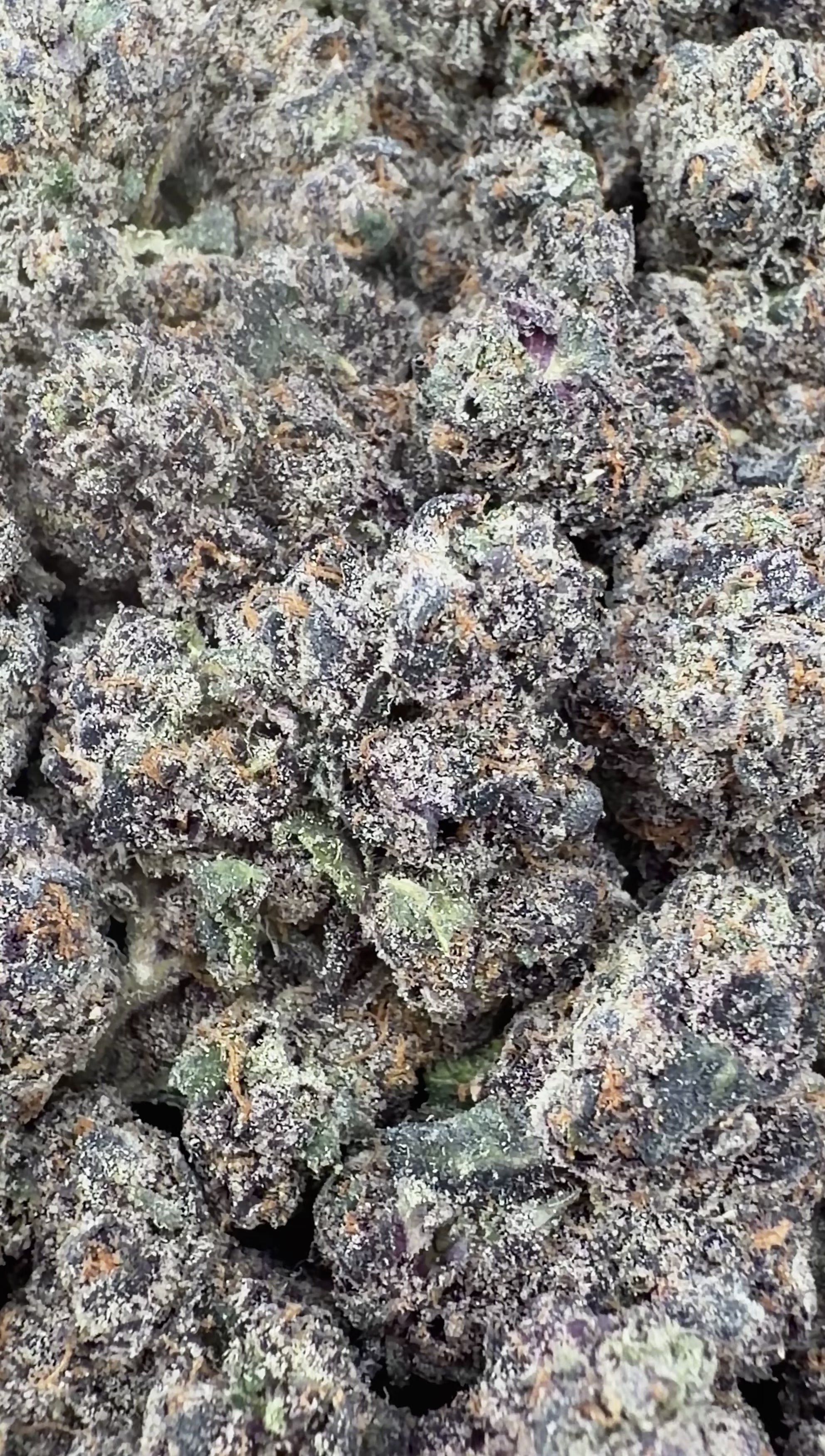 Blackberry Runtz