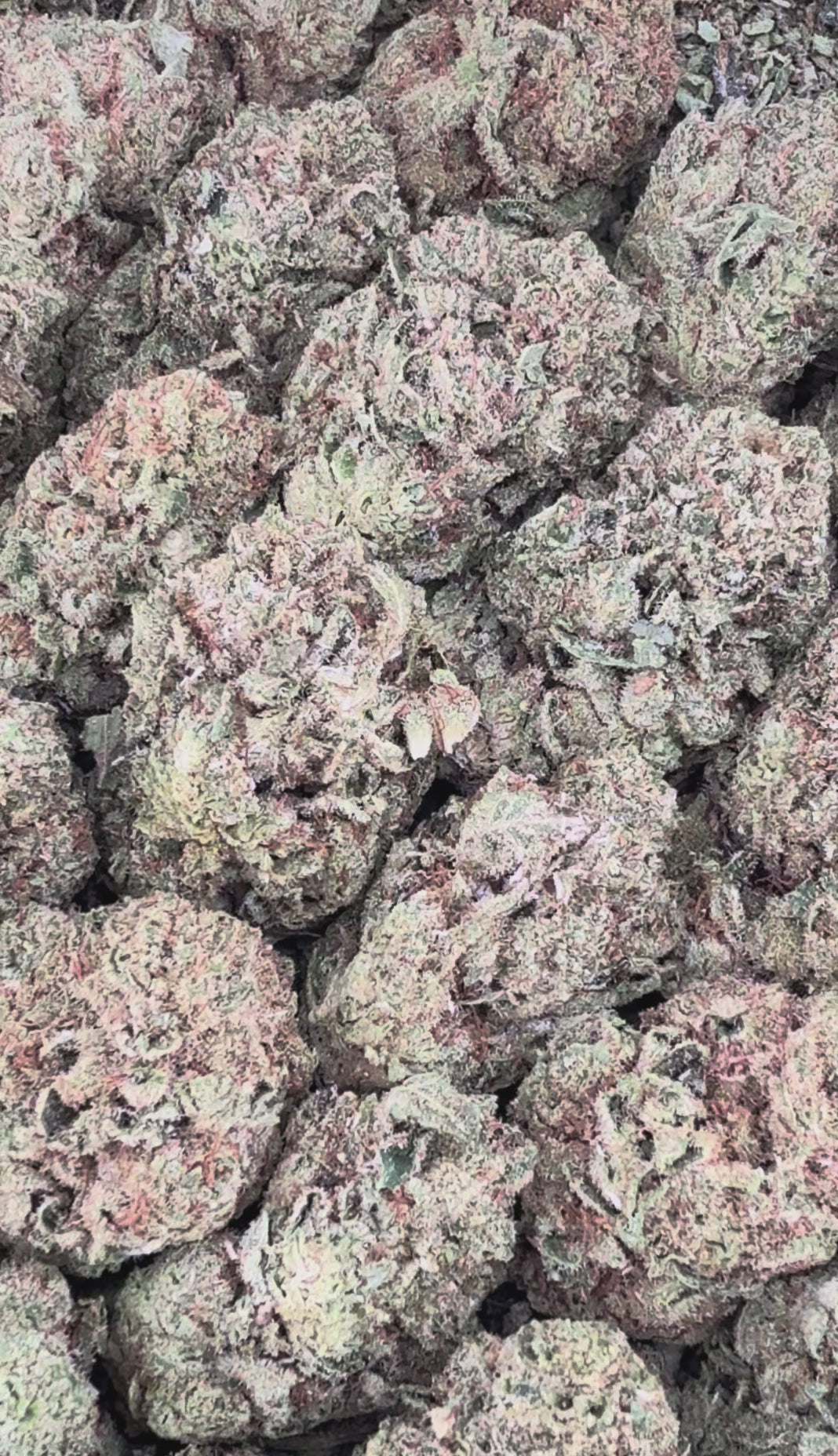 Skywalker