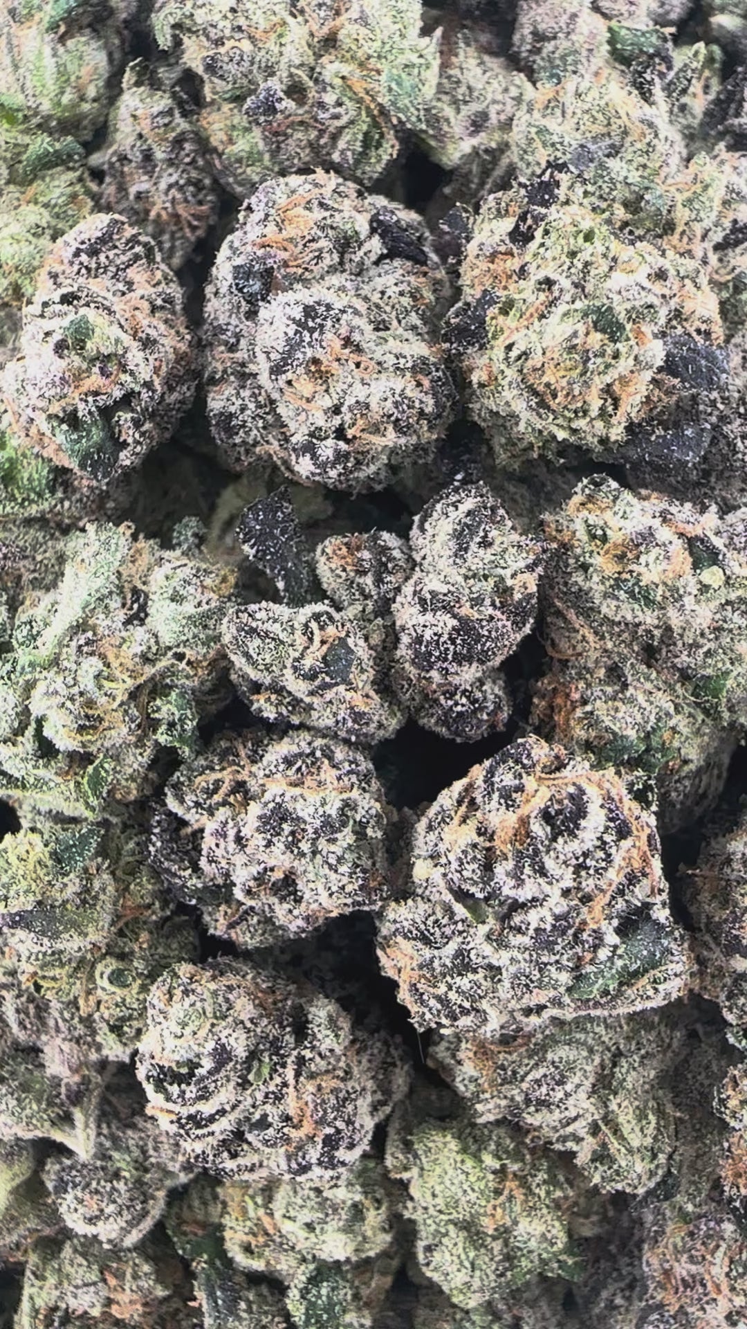 Mango Kush THCa Smalls (Wholesale)