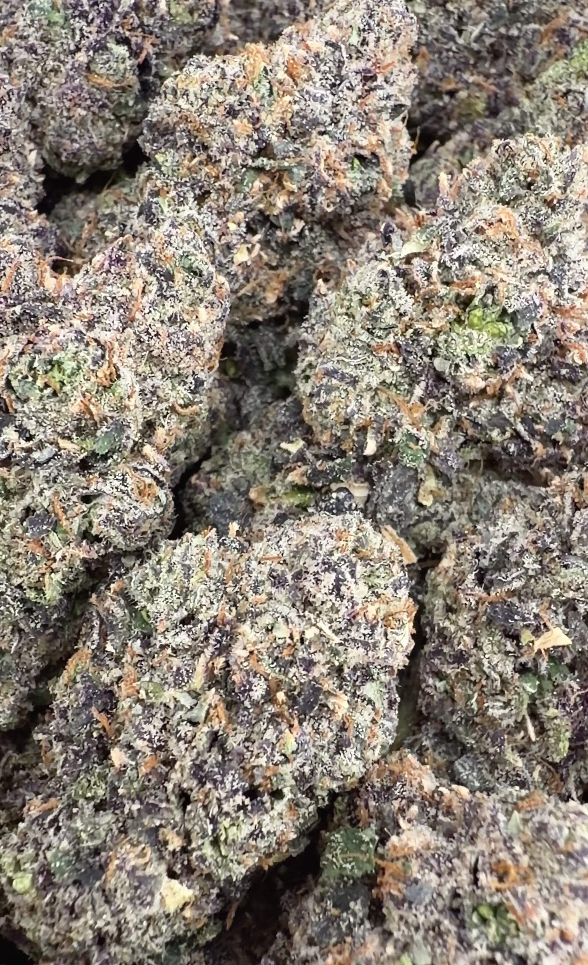 Cali Gas