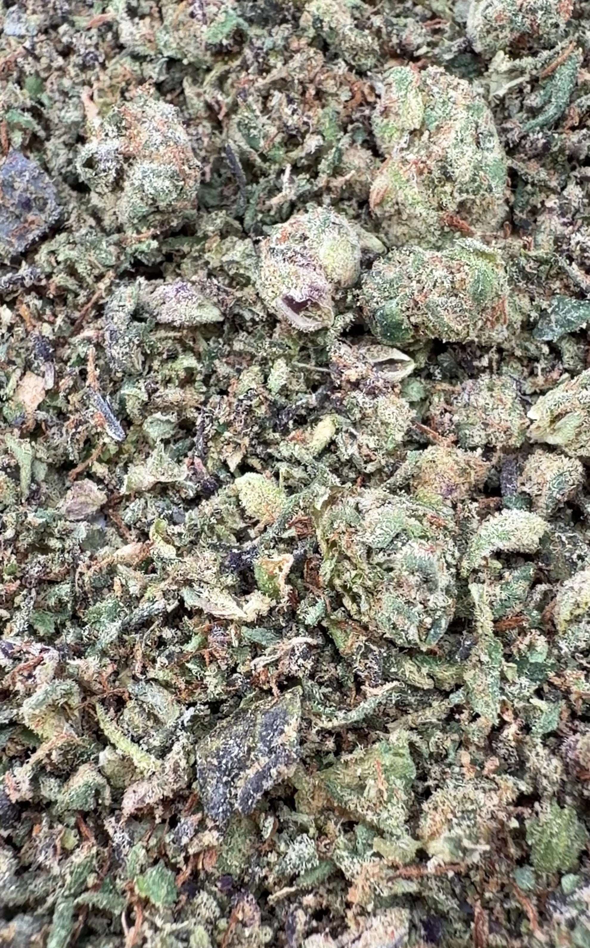 No3. Super Runtz THCa Shake (Wholesale)