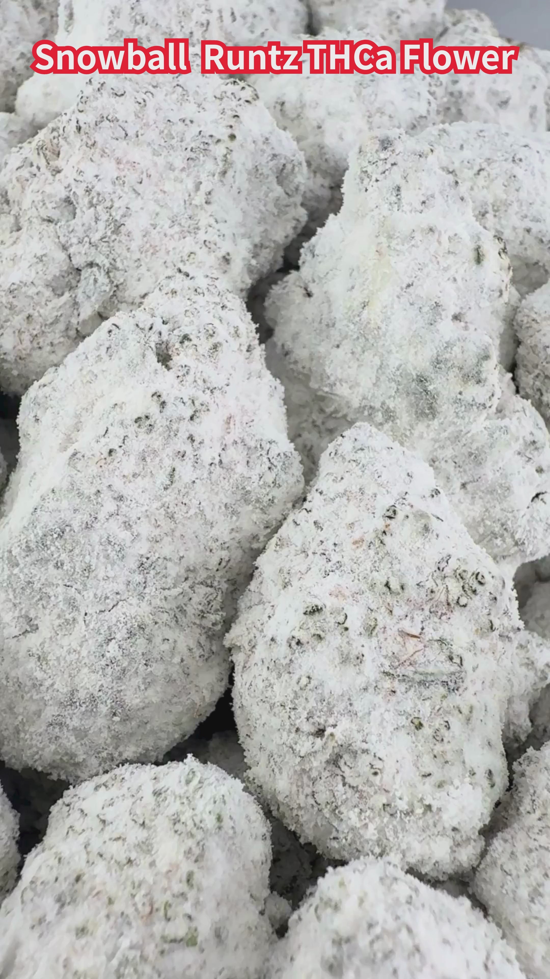 Snowball Special Offer : BUY ONE, NEXT 50% OFF