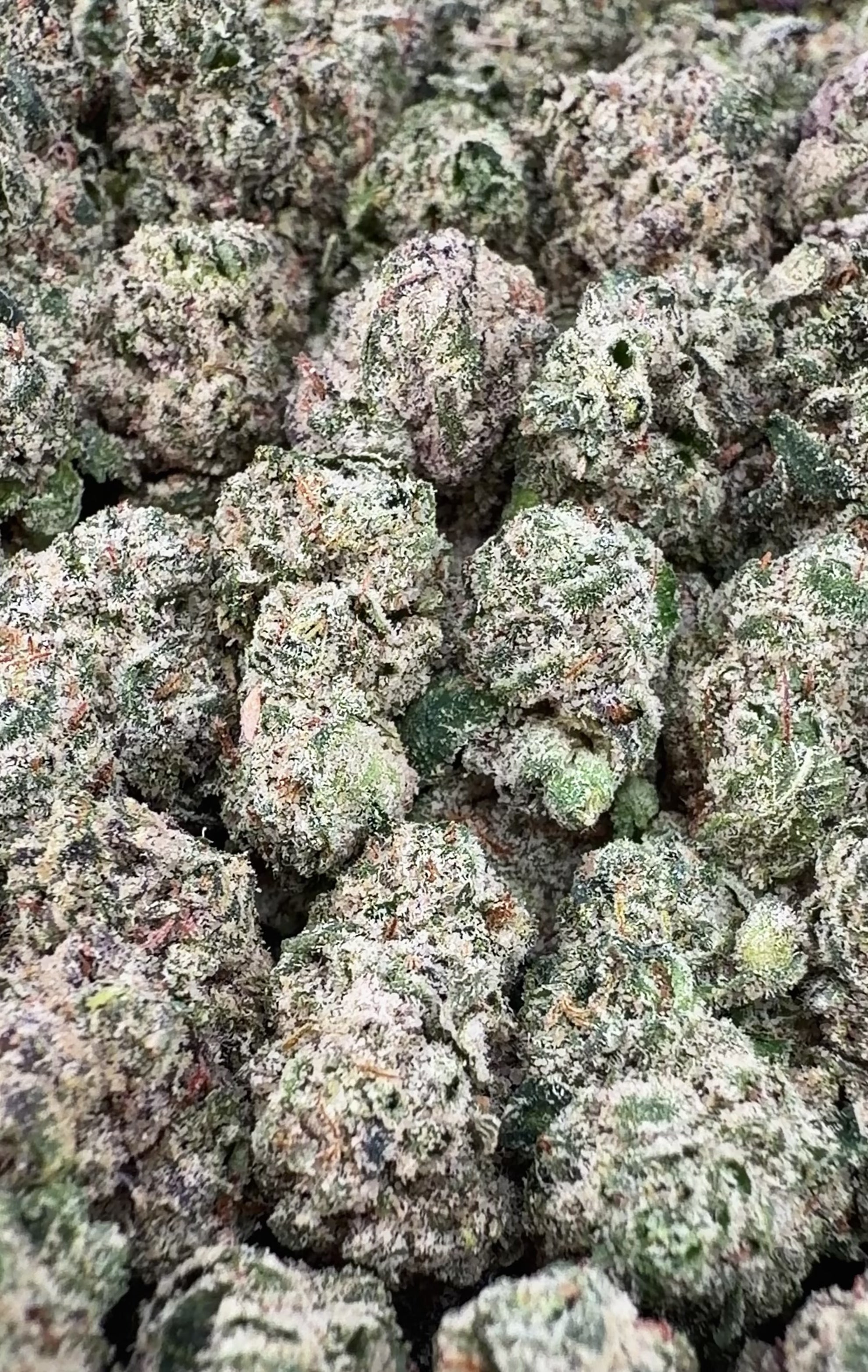 Exotic Zkittlez THCa Smalls (Wholesale)