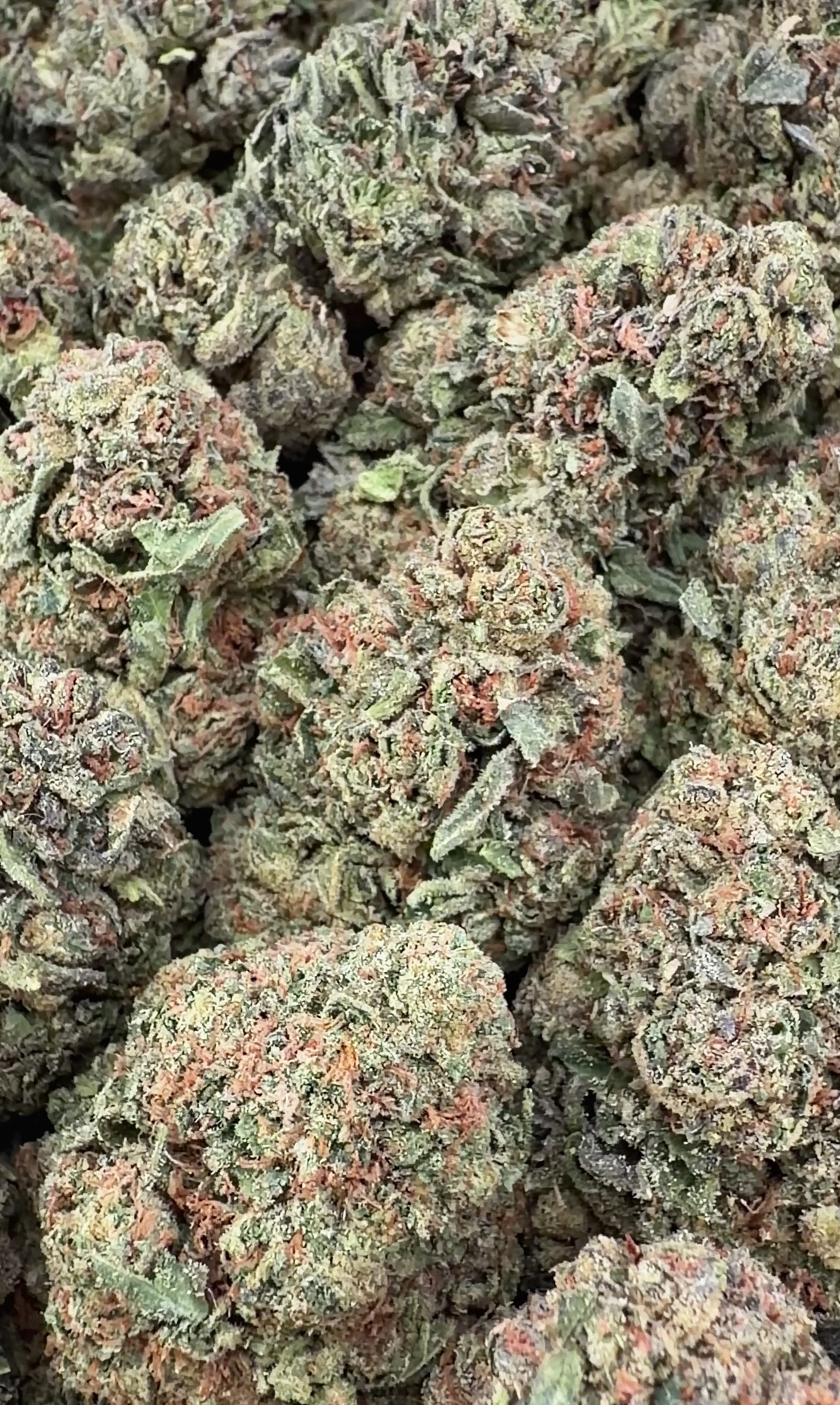 Candy LCG (30% Off Wholesale Clearance)