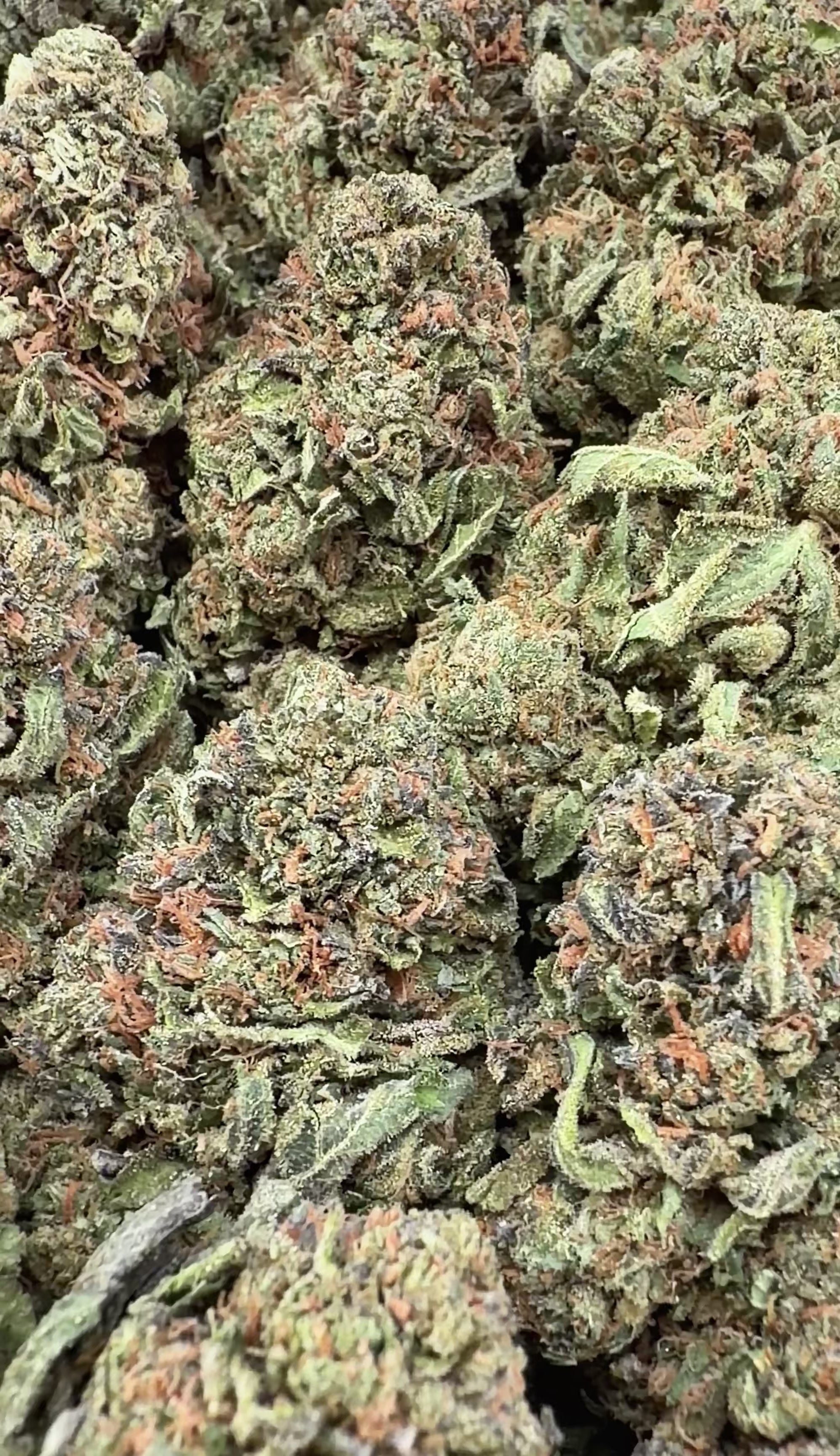 BOGO Buy 14G get 14G🔥Gelato 45