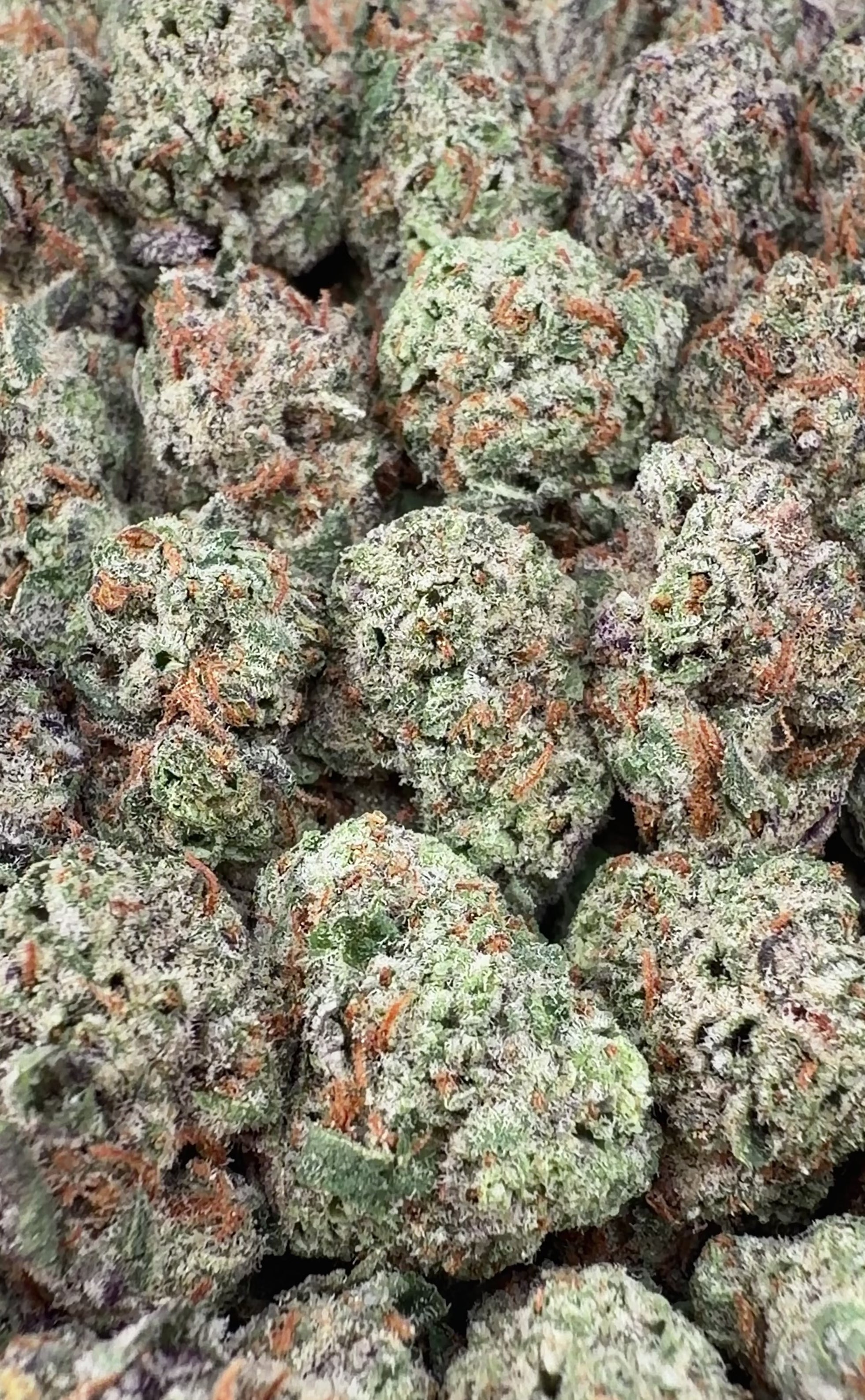 Exotic Ice Cream Cake THCa Smalls