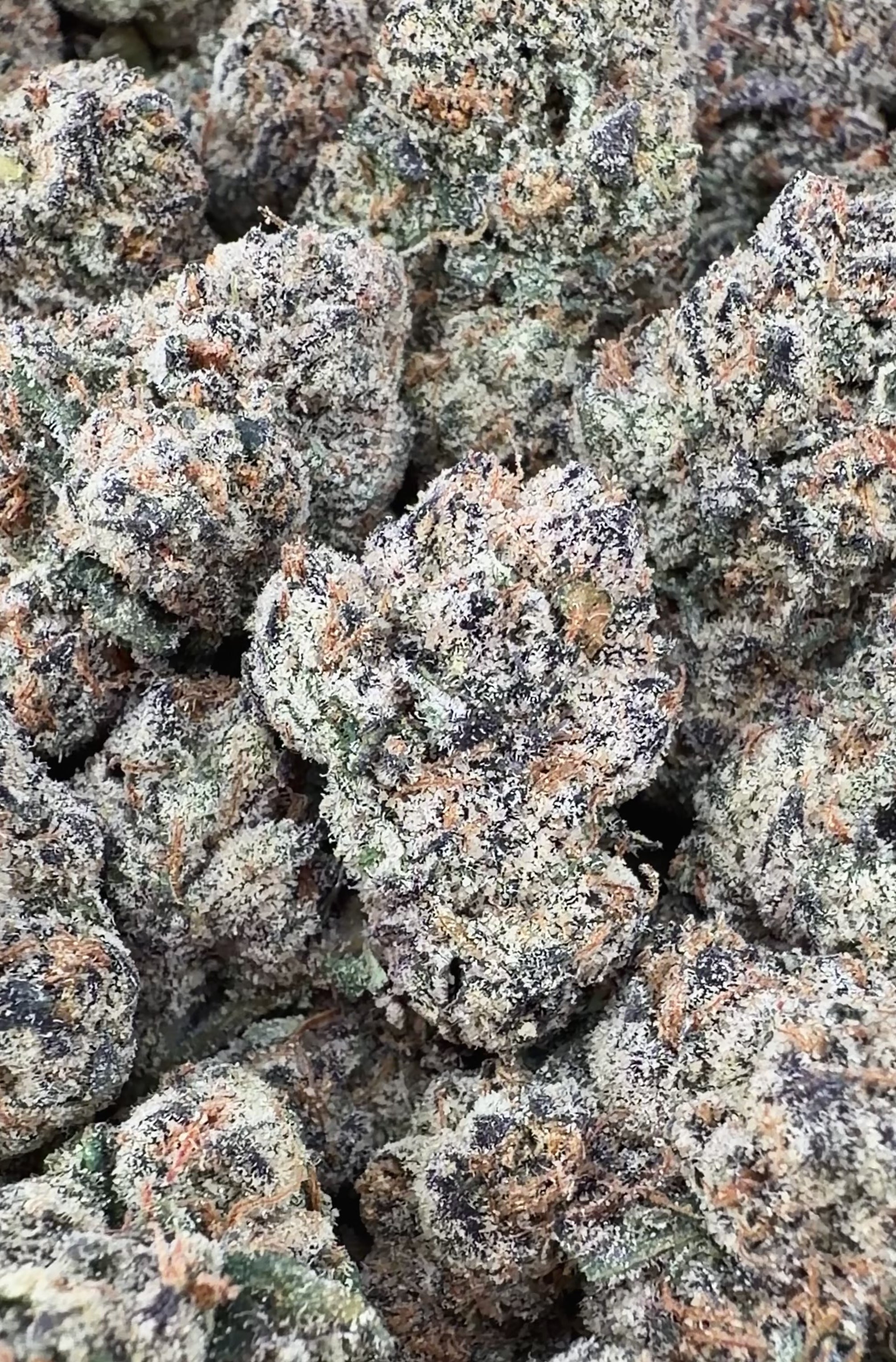 Cotton Candy (Wholesale)