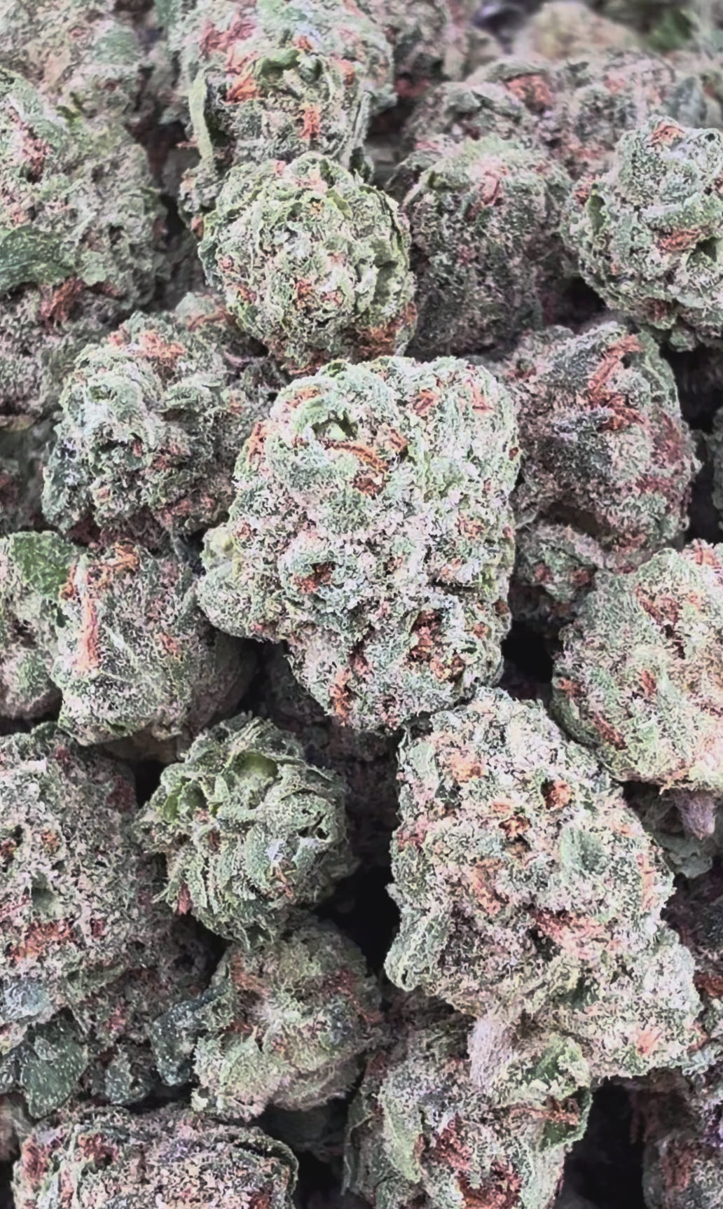 Fruit Loop THCa Smalls ( Wholesale )