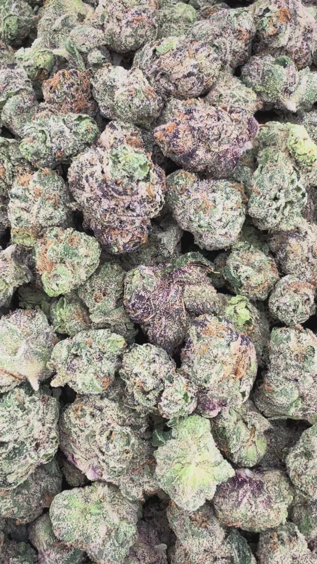 Lemon Cherry Gelato THCa Exotic Smalls