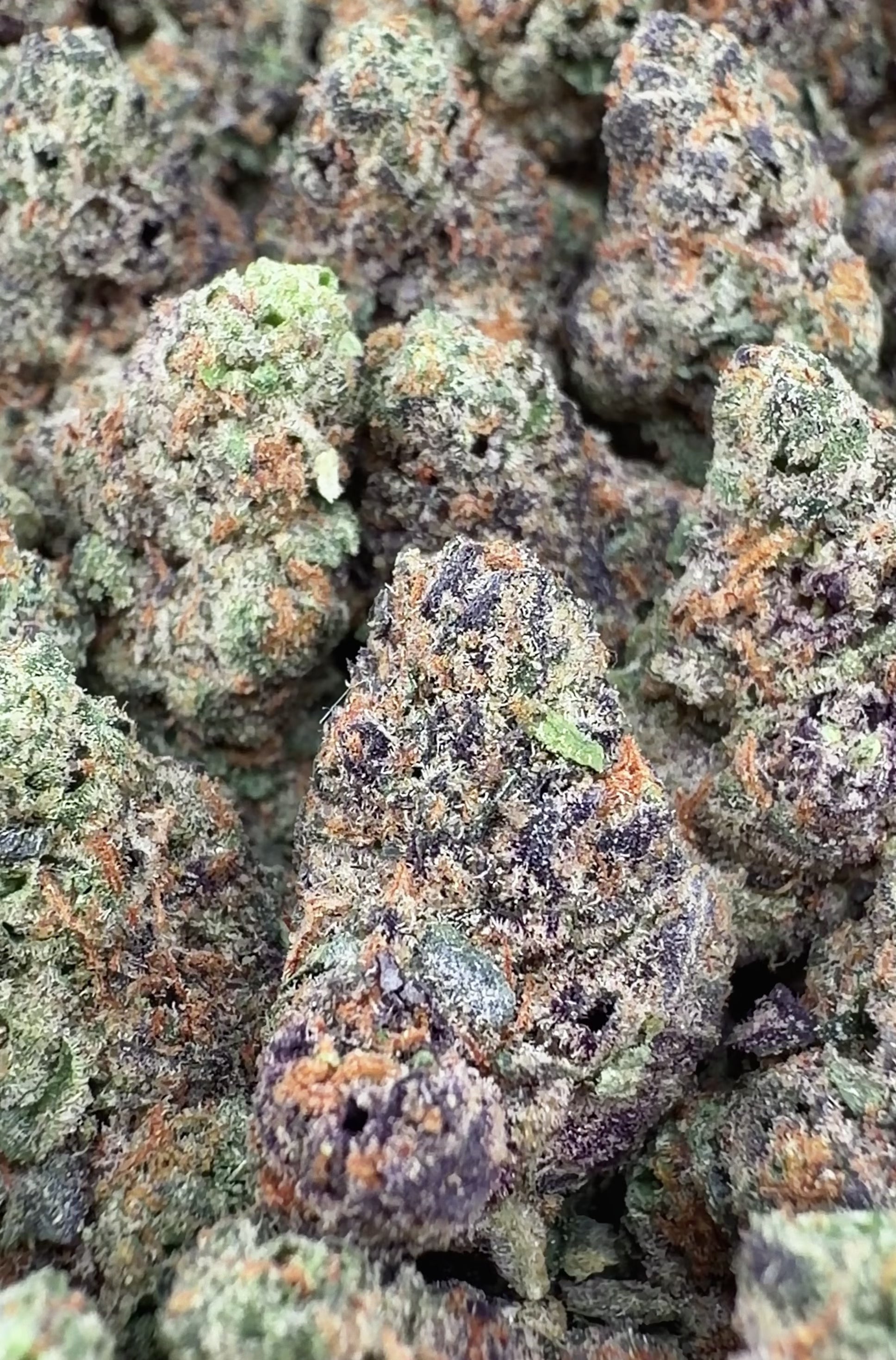 Exotic Citrus Berry THCa Smalls (Wholesale)