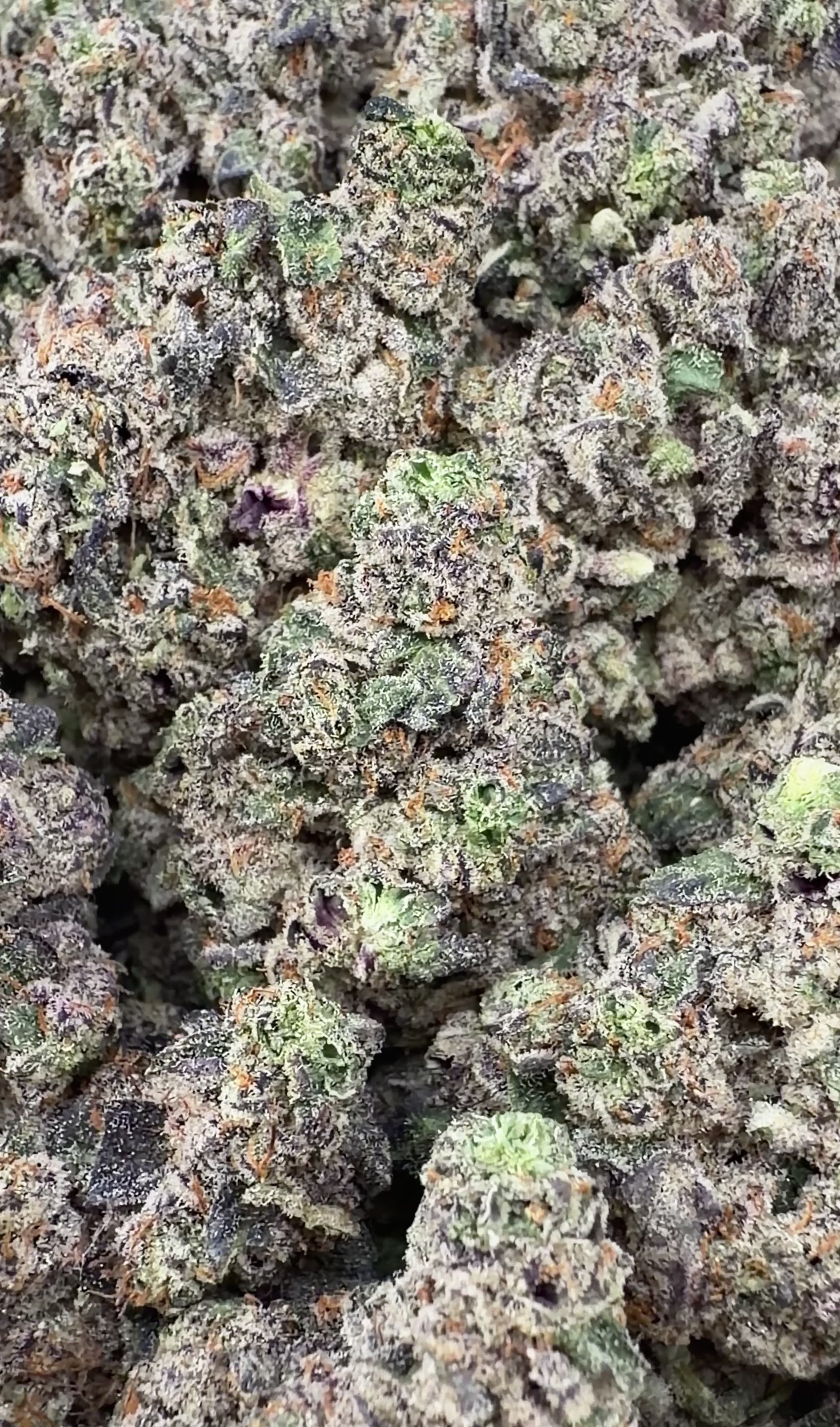 Georgia Pie (Wholesale)