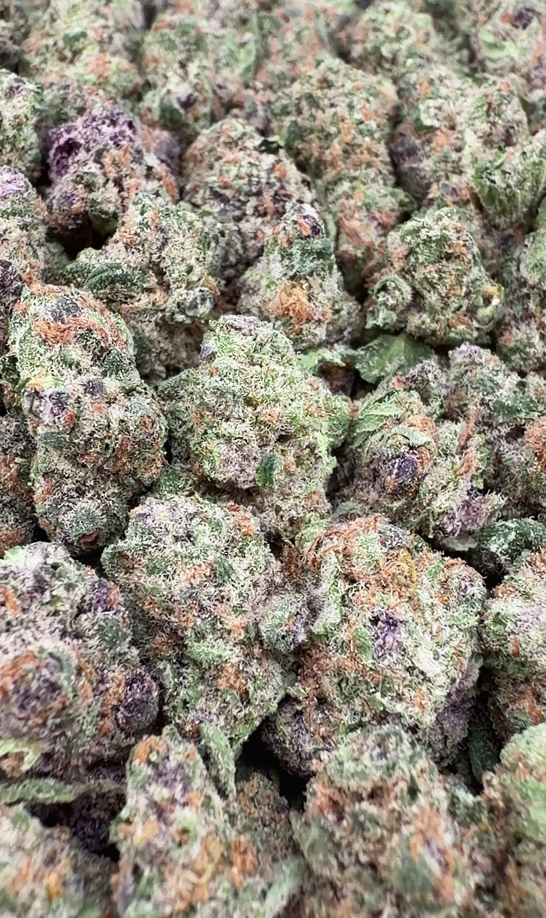 BOGO Buy 14G get 14G🔥Super Boof THCa Smalls