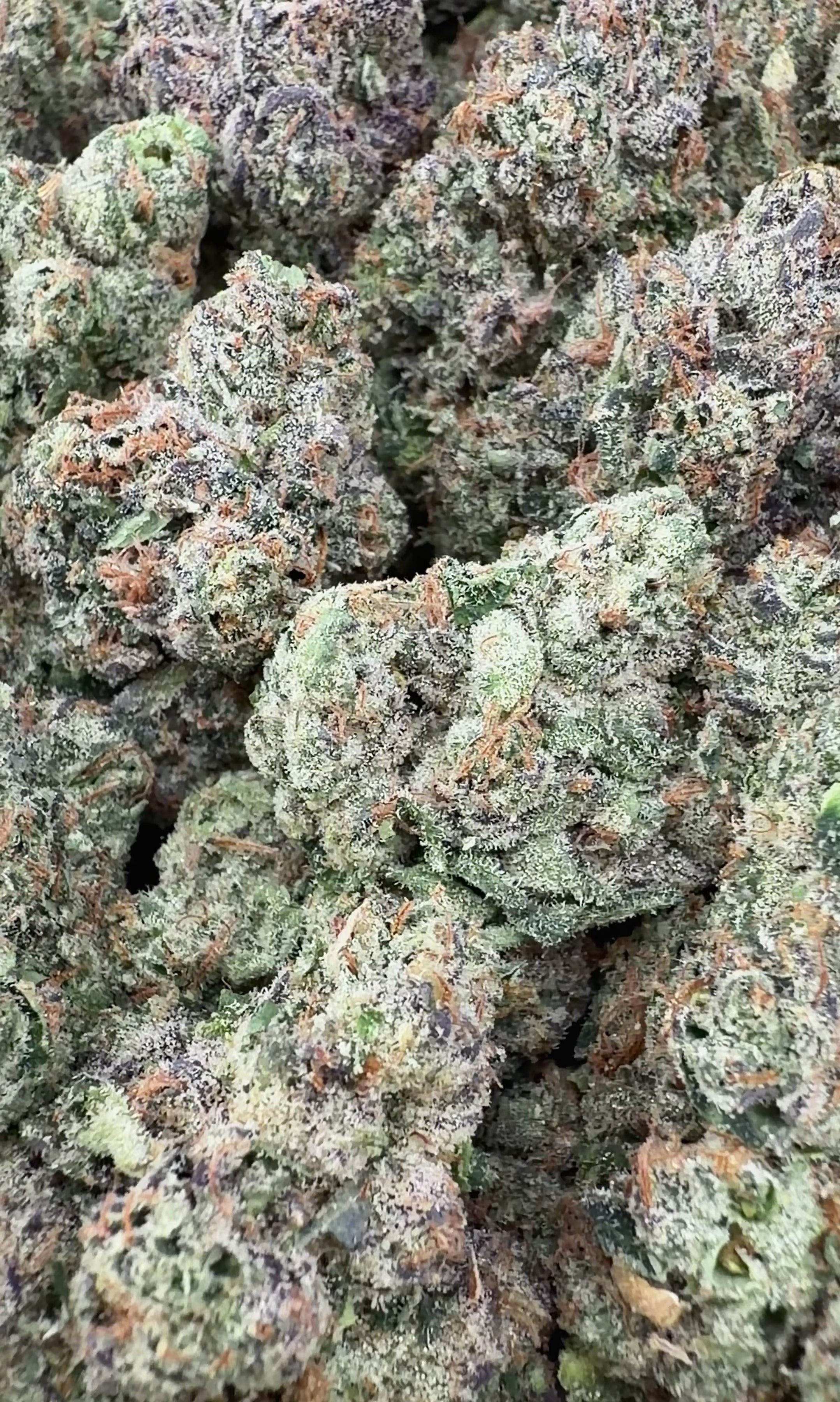 Super Boof (Wholesale)