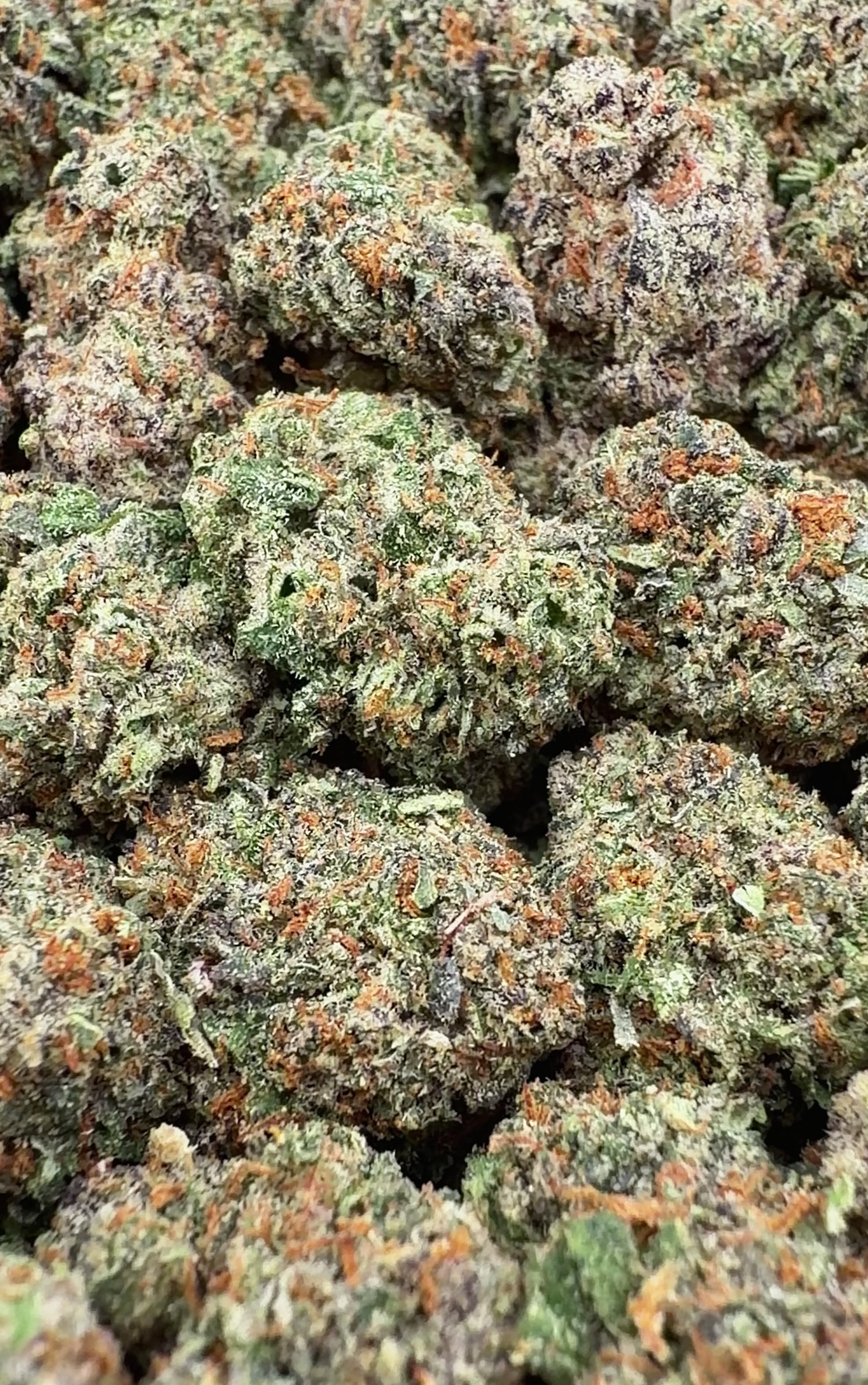 Gelato 45 THCa Smalls