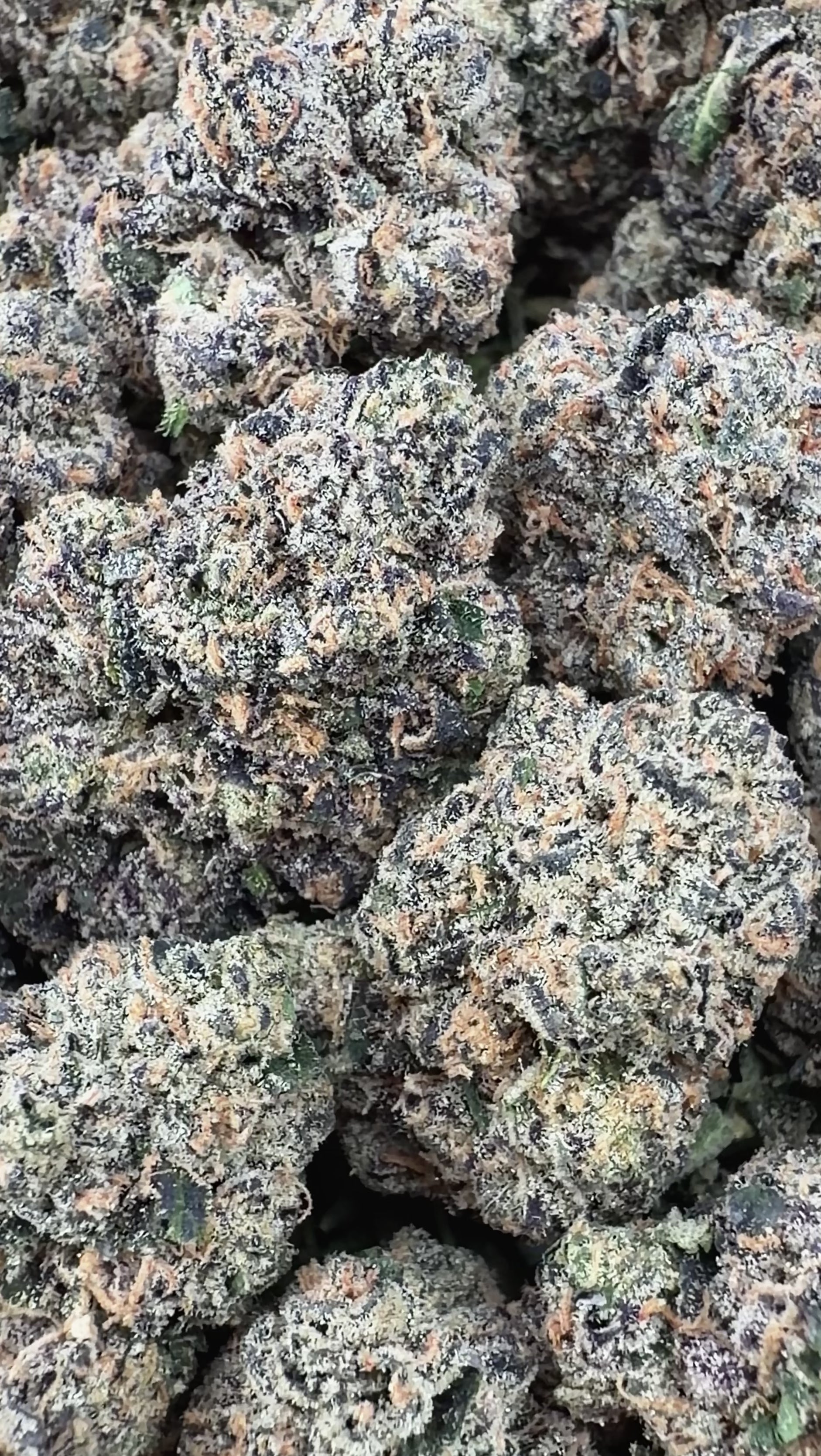 Purple Cream Cake