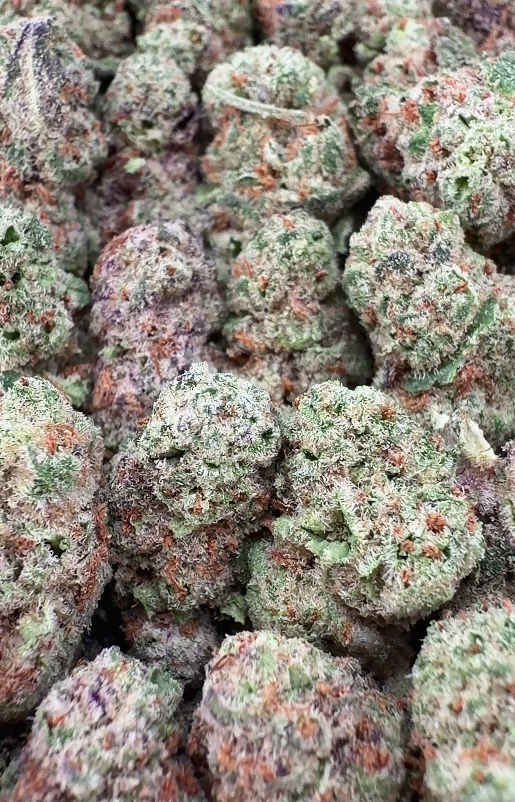 Gelonade THCa Smalls (Wholesale)