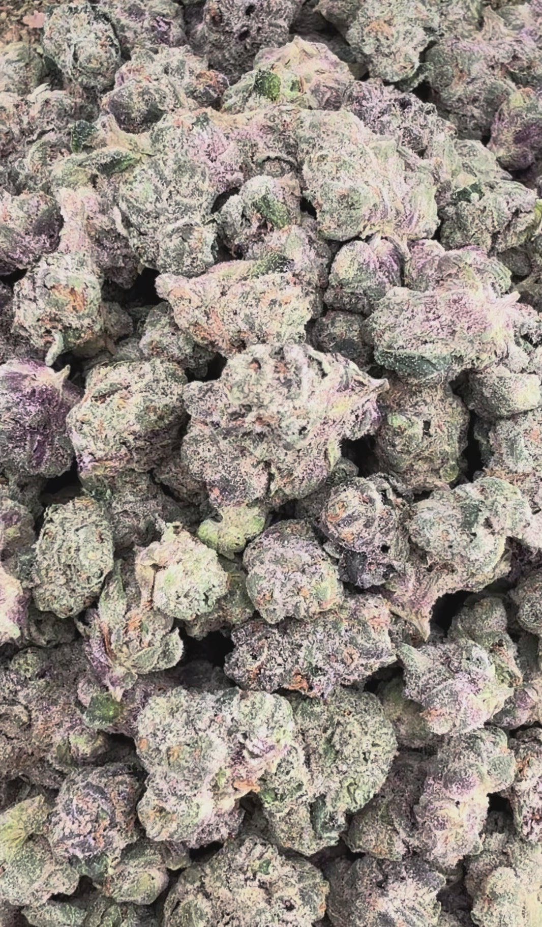 Best Runtz THCa Smalls (Wholesale Clearance)