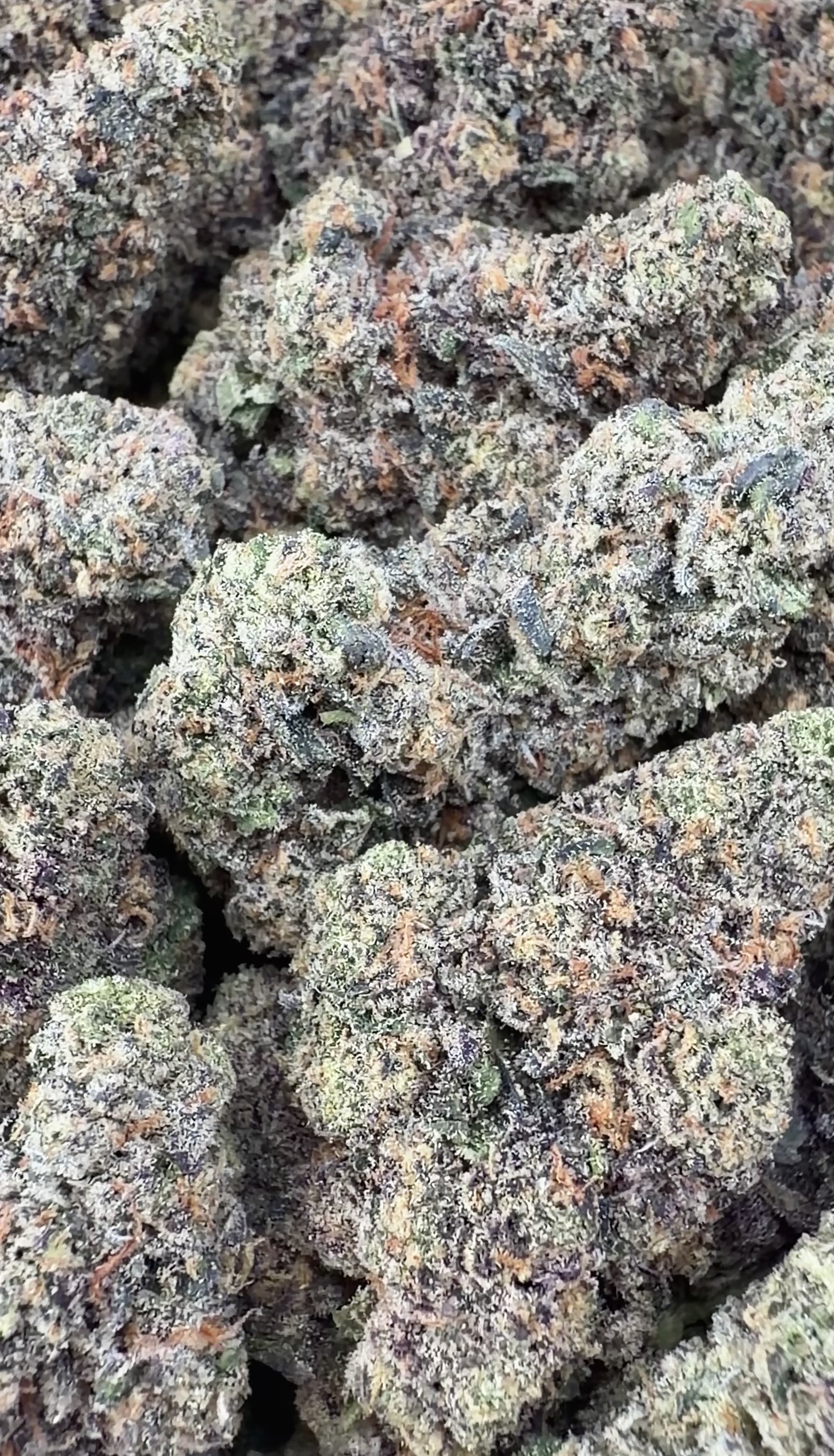 Pinnacle