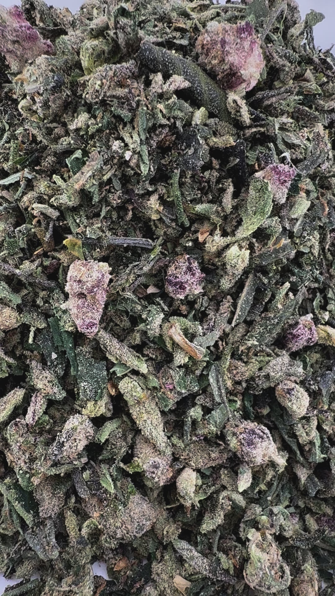No 2. Ice Cream Cake THCa Shake (Wholesale)