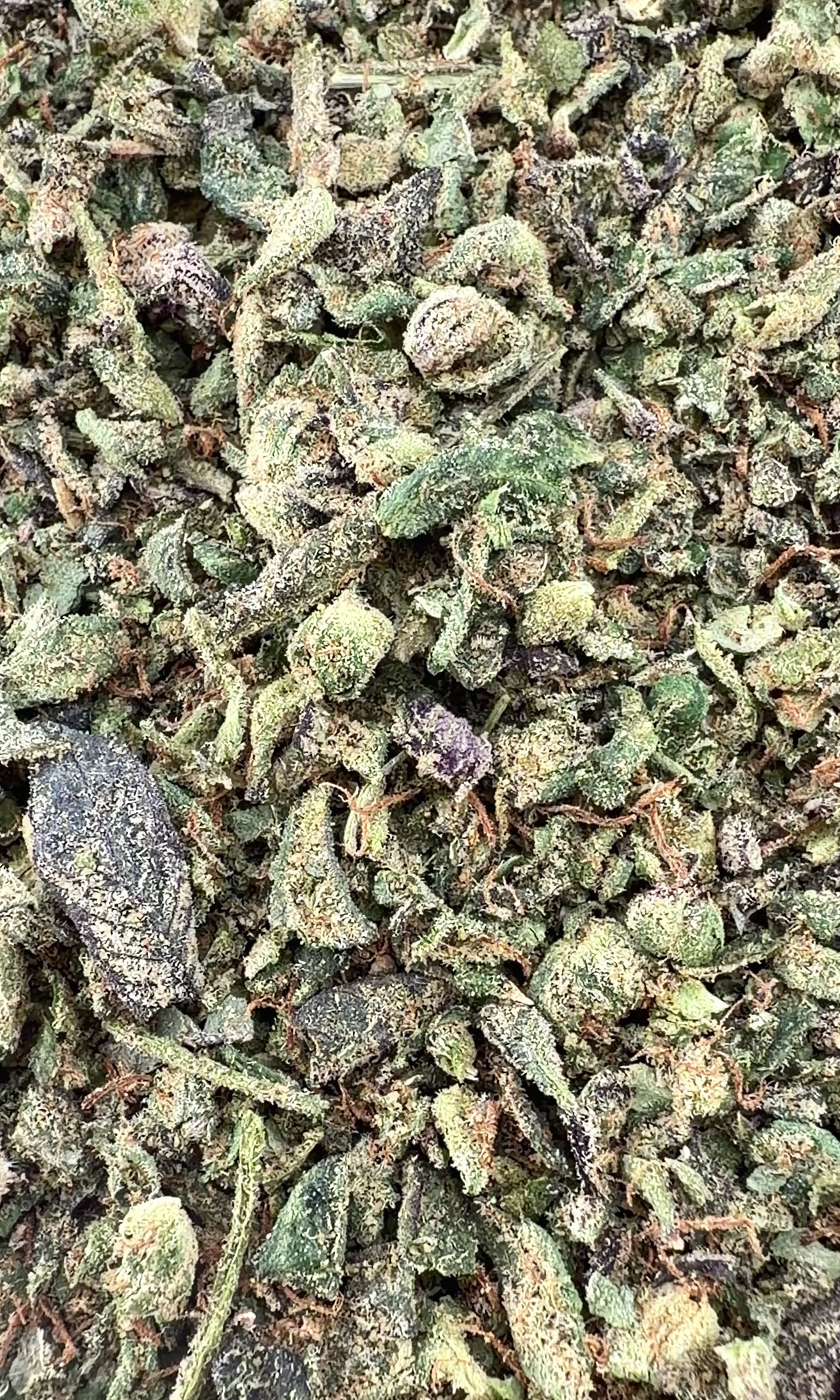 (BOGO Shake: buy 1oz get 2oz🍃) No2 New. Jack Ramsey THCa Shake