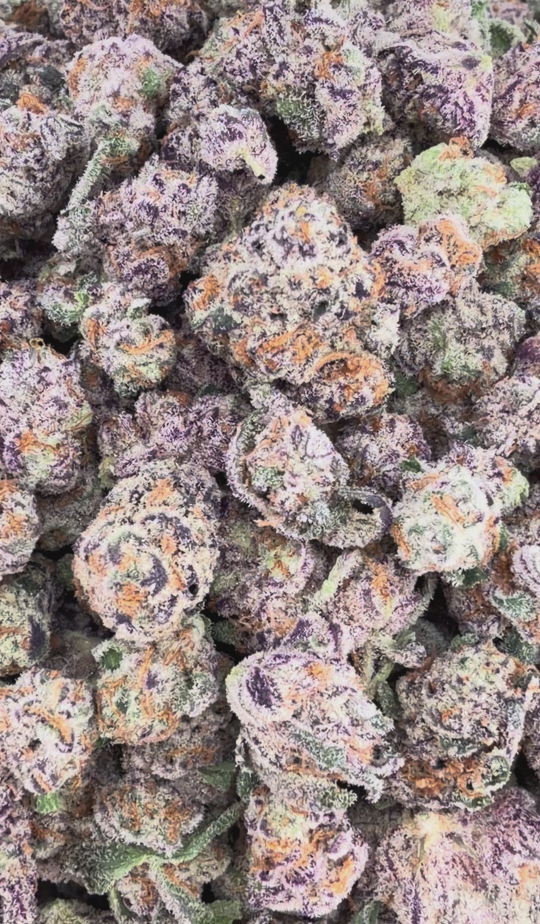 LA Pop Rock THCa Exotic Smalls