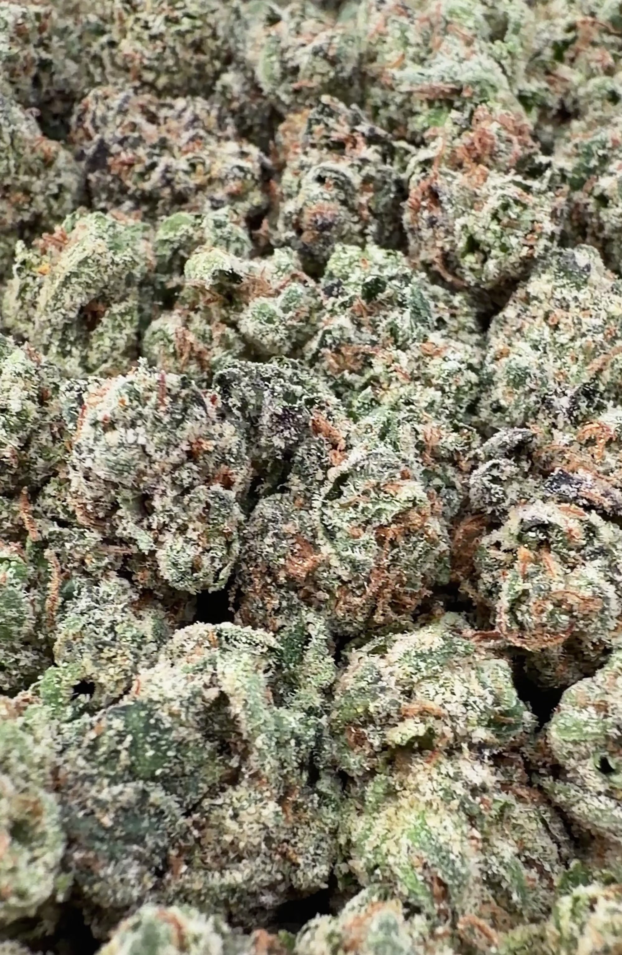 Gelatti THCa Smalls