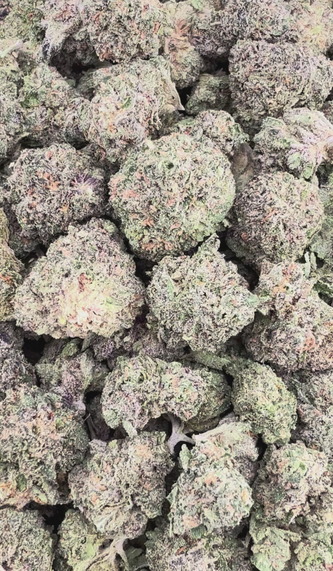 Donny Burger THCa Smalls (Wholesale)