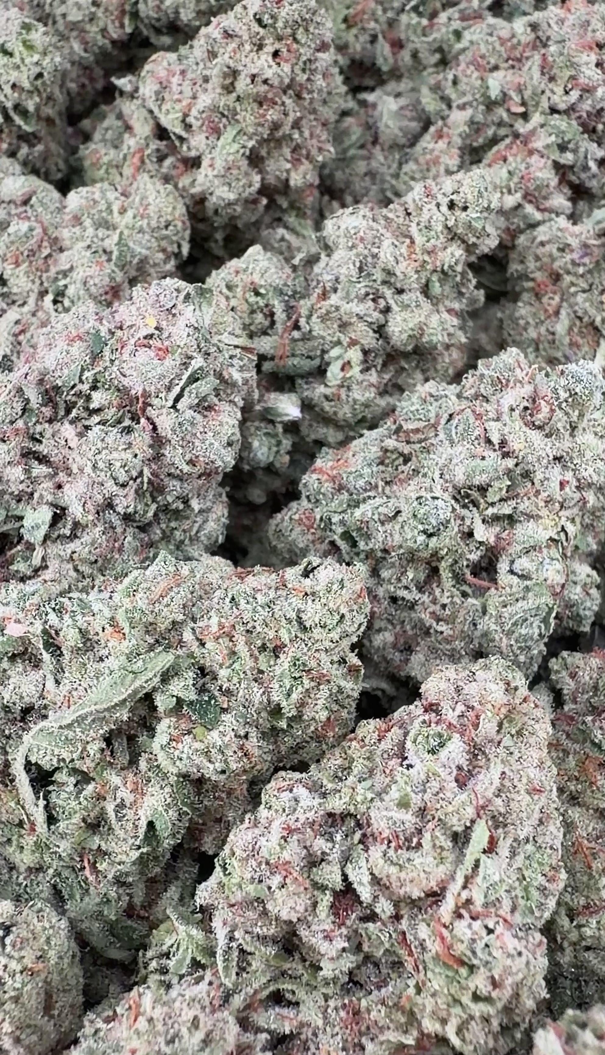 Royal Runtz (Wholesale)