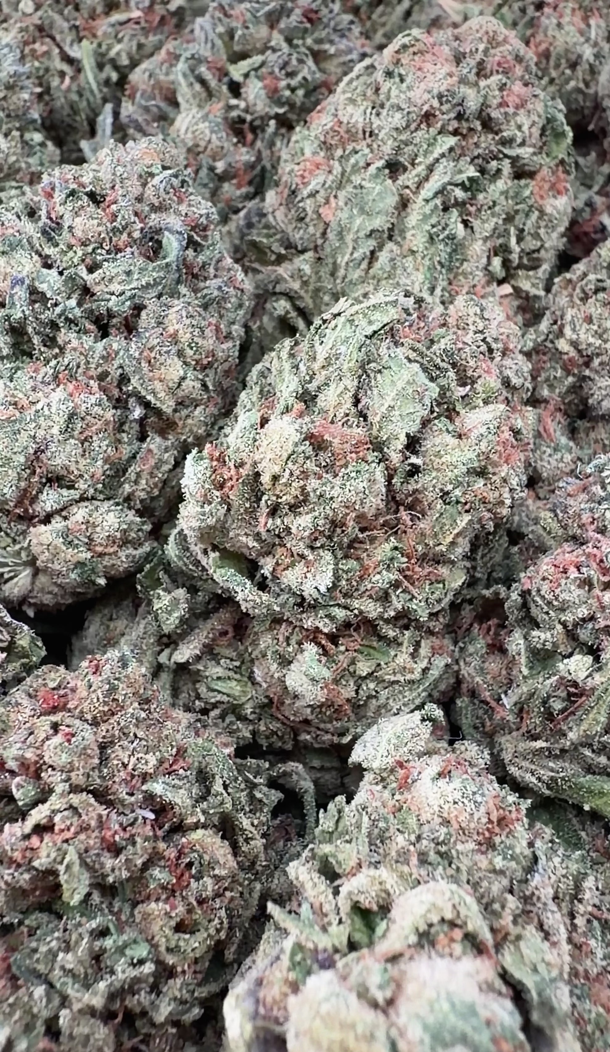 Candy LCG