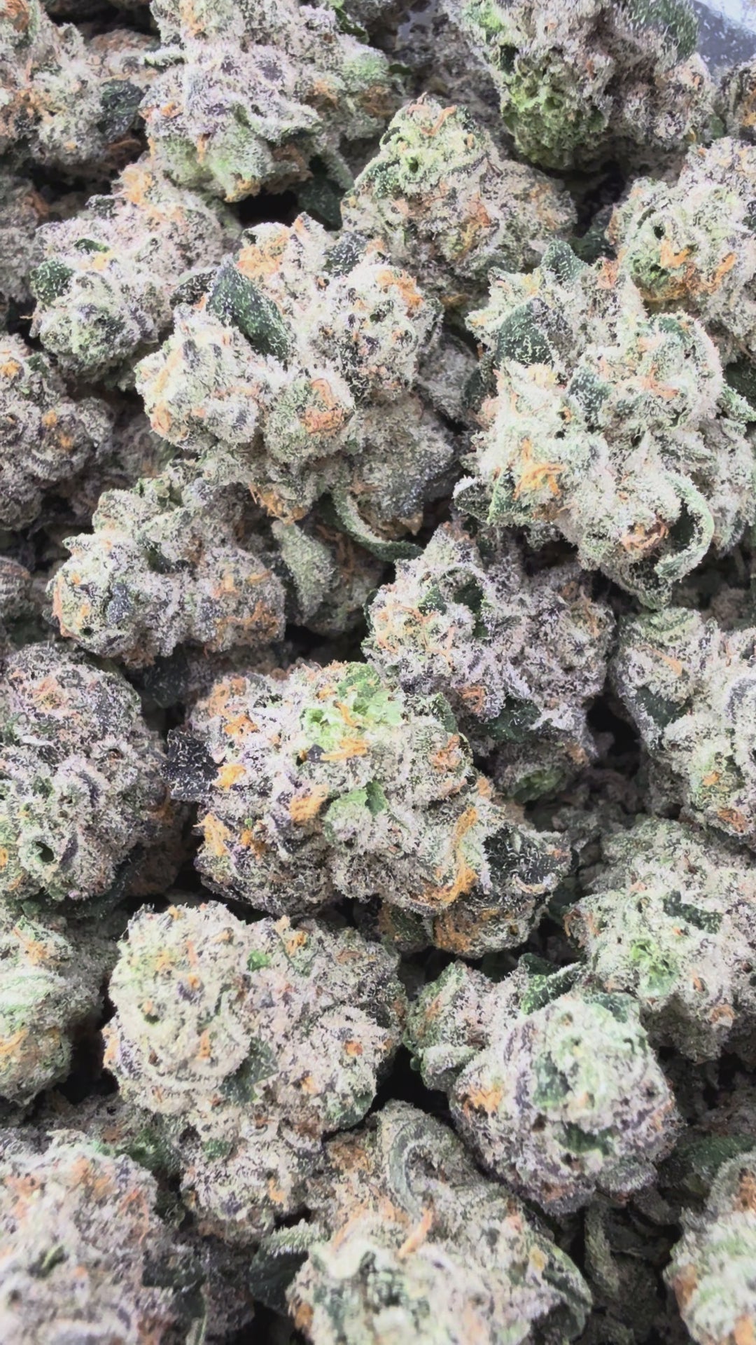 (BOGO 14G) Exotic Gas Face THCa Smalls
