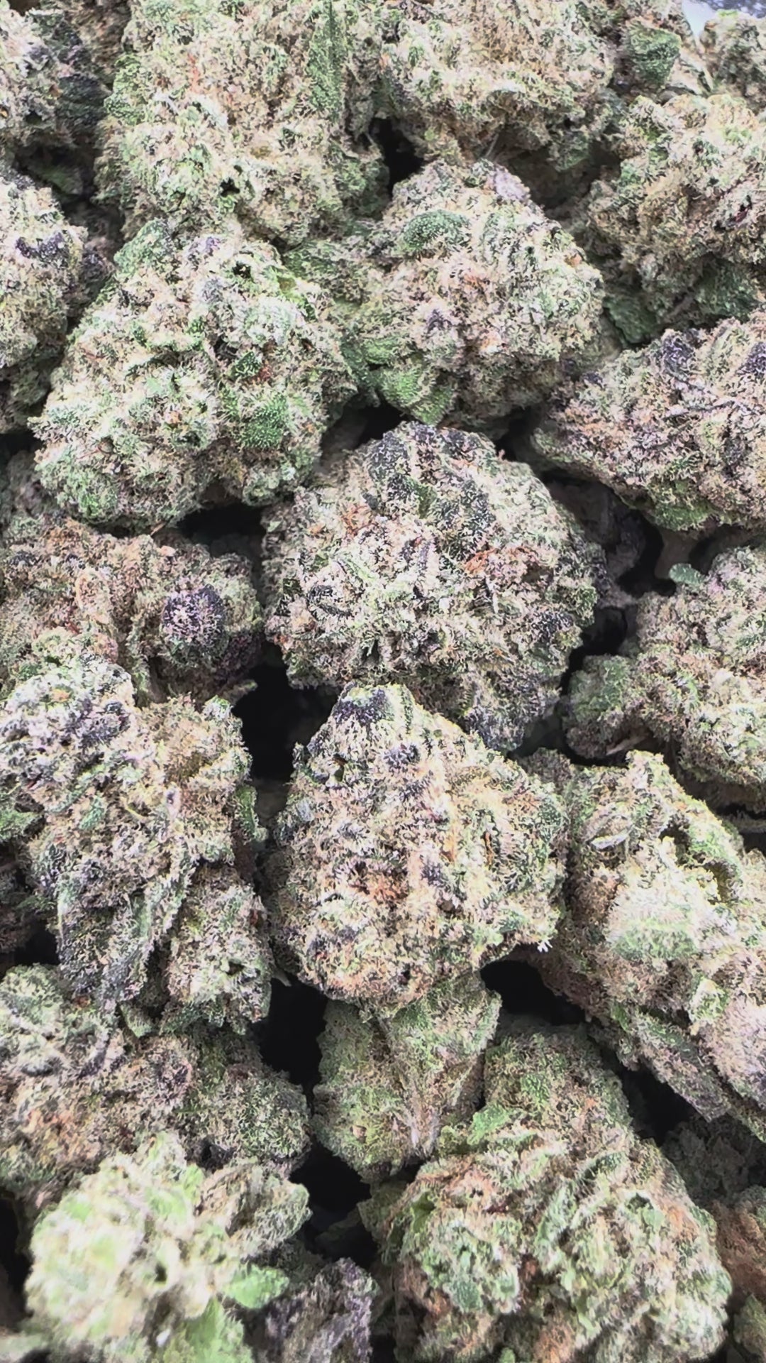 Cheetah Piss THCa Smalls (Wholesale)